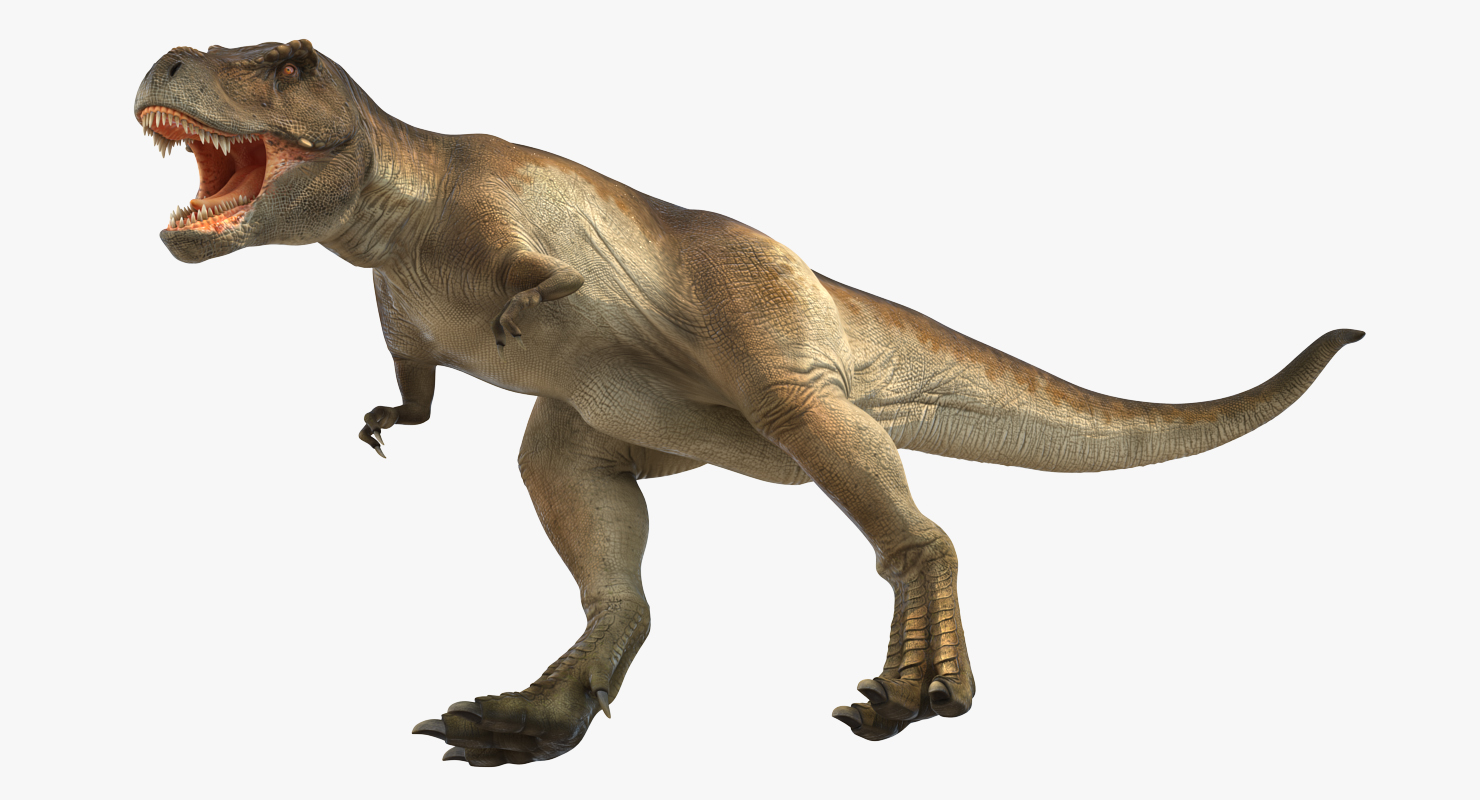 3D model Tyrannosaurus Rex Attacks