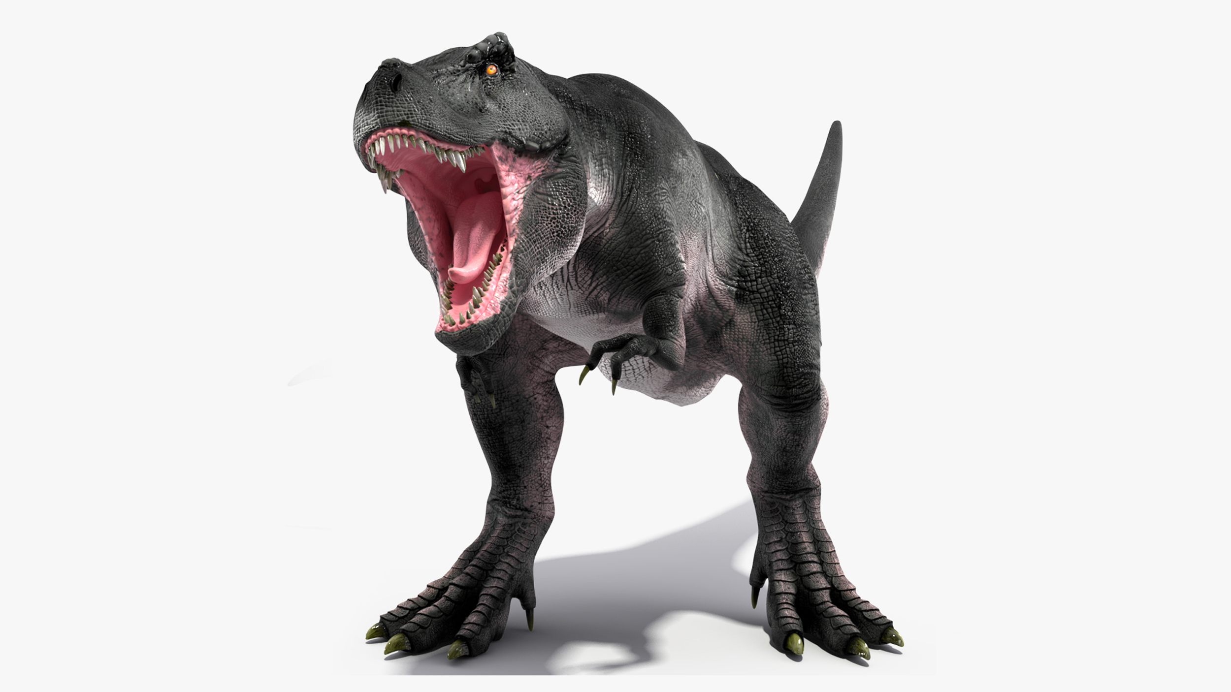 3D T Rex Rigged for Maya