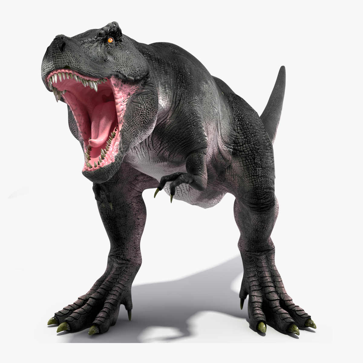 3D T Rex Rigged for Maya