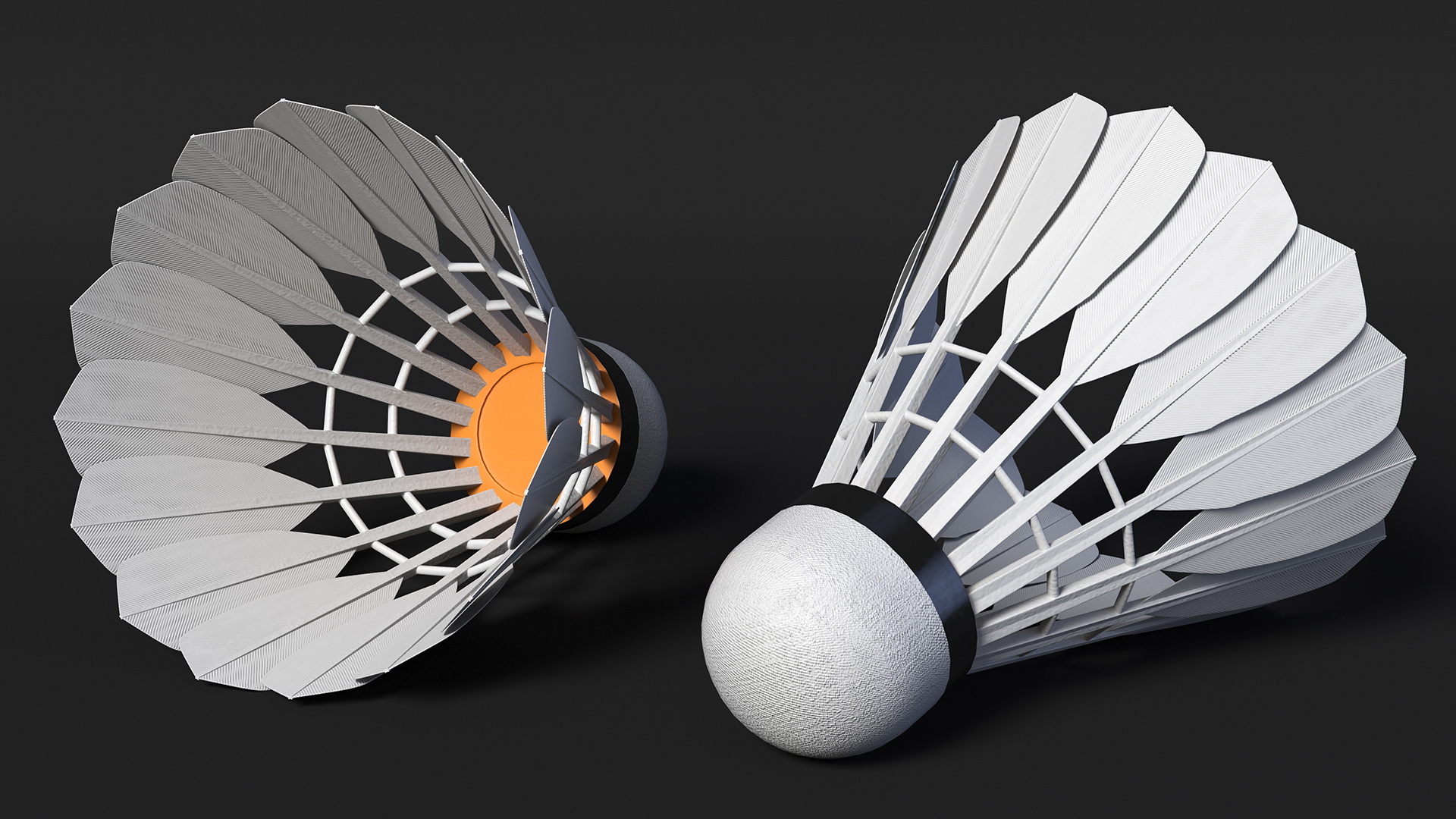 Badminton Feather Shuttlecock 3D model