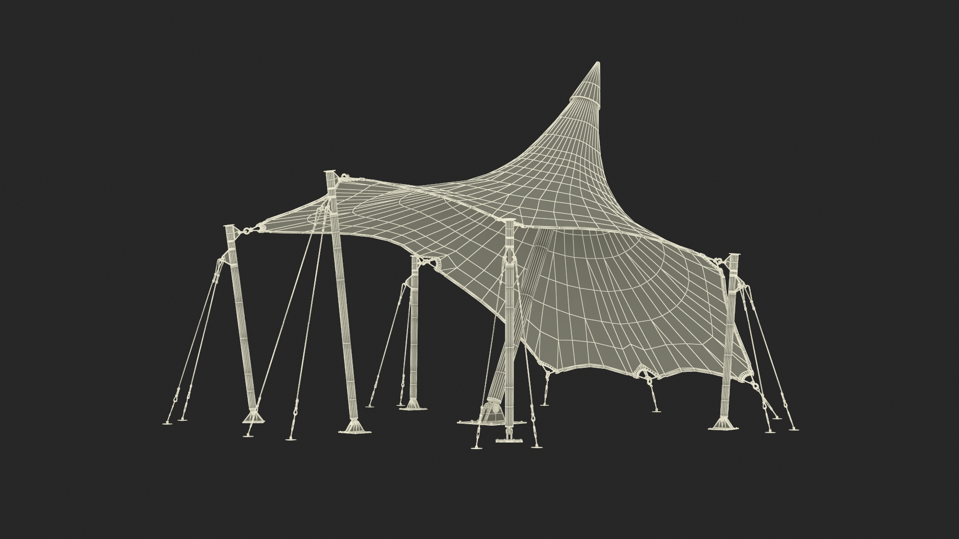 Tensile Fabric Tent 3D model