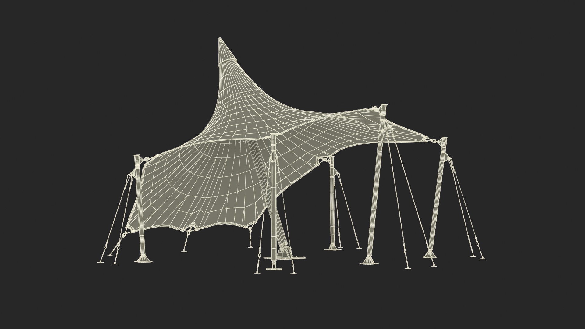 Tensile Fabric Tent 3D model