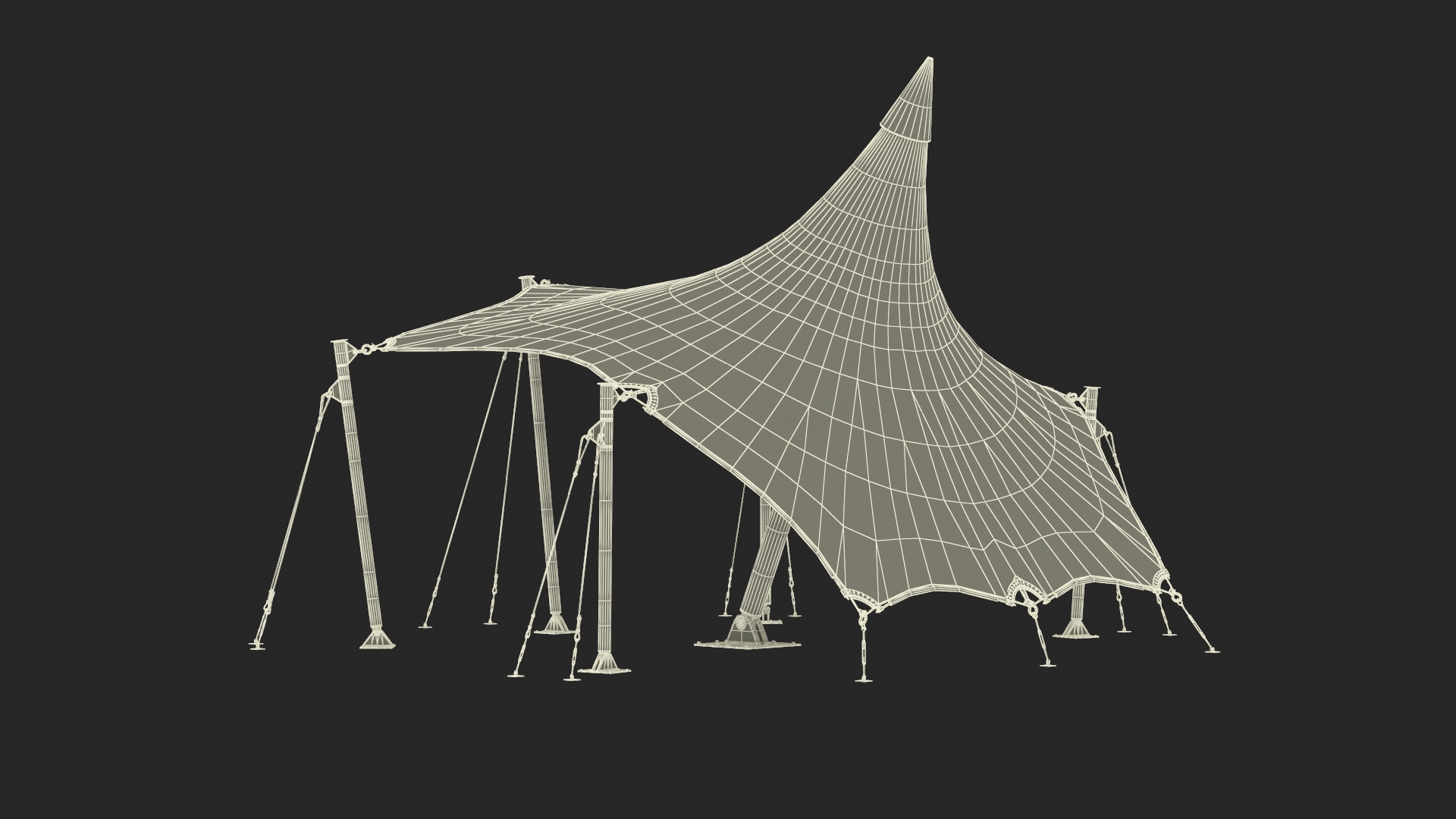 Tensile Fabric Tent 3D model