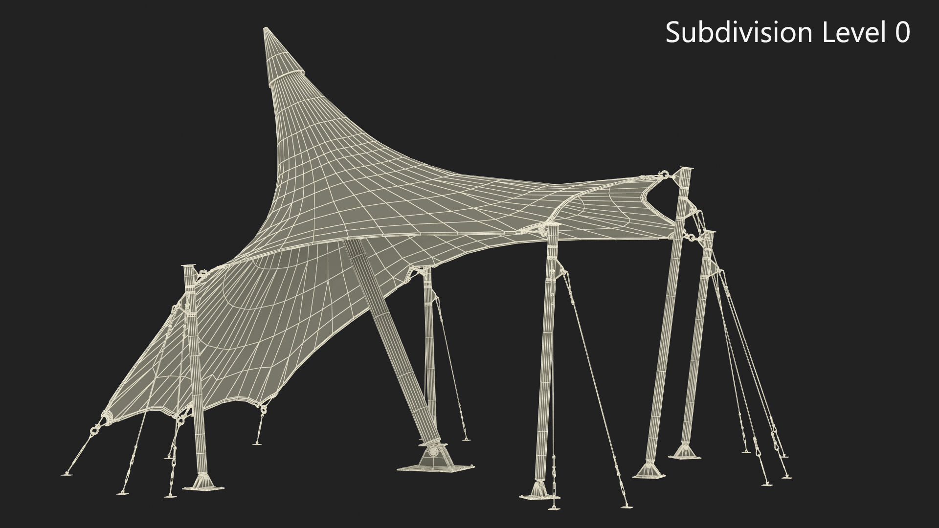 Tensile Fabric Tent 3D model