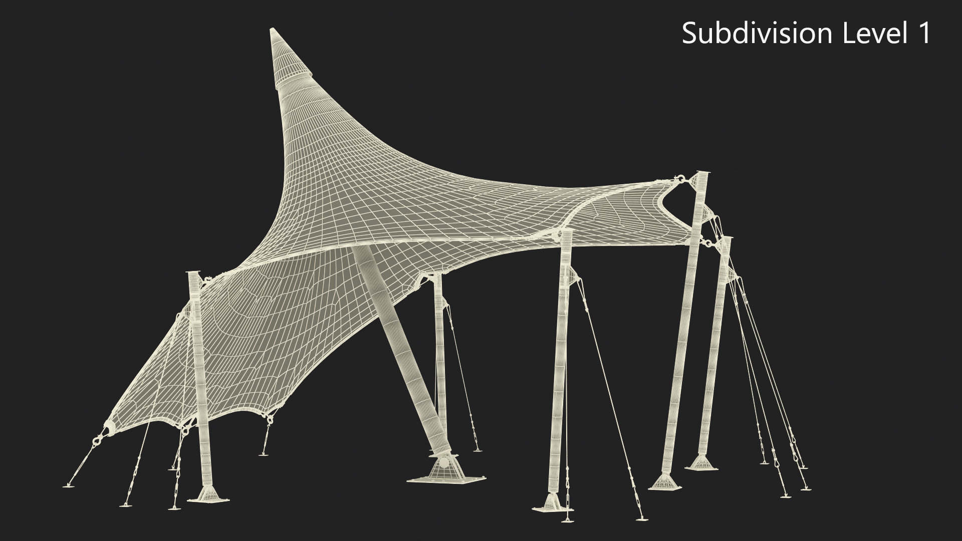 Tensile Fabric Tent 3D model
