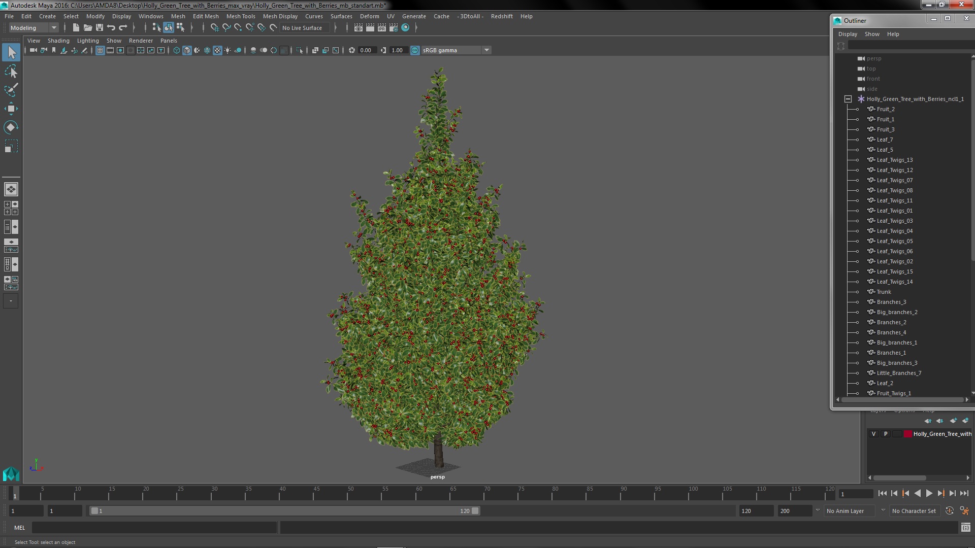 Holly Green Tree with Berries 3D model