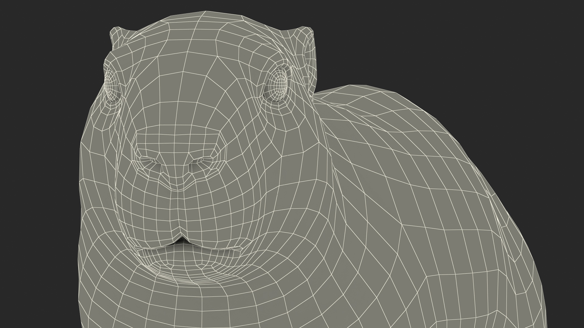 3D Alpine Marmot model
