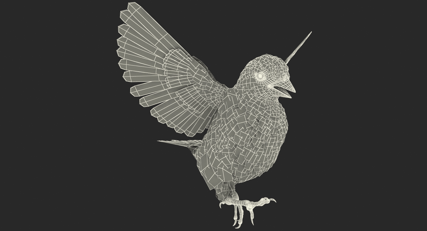 3D model Sparrow Walking Pose