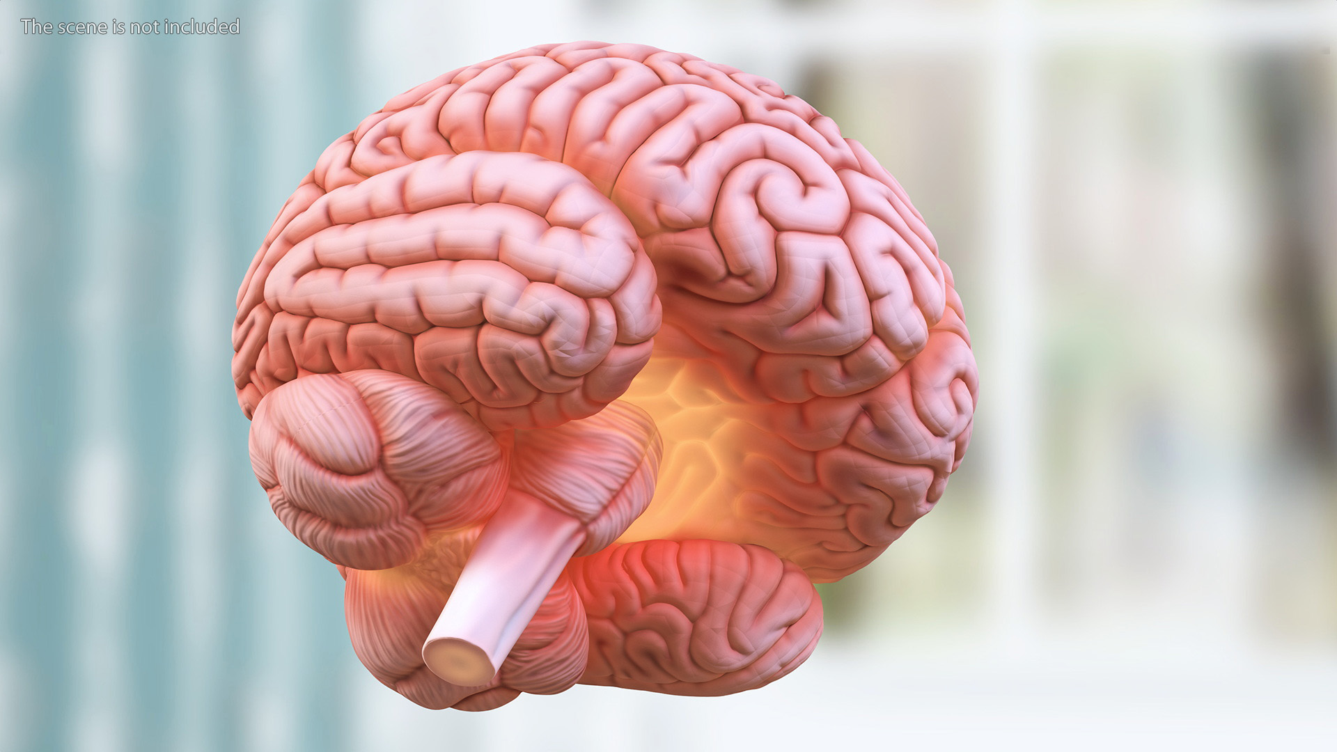 3D model Human Brain with Microchip Implant with Light