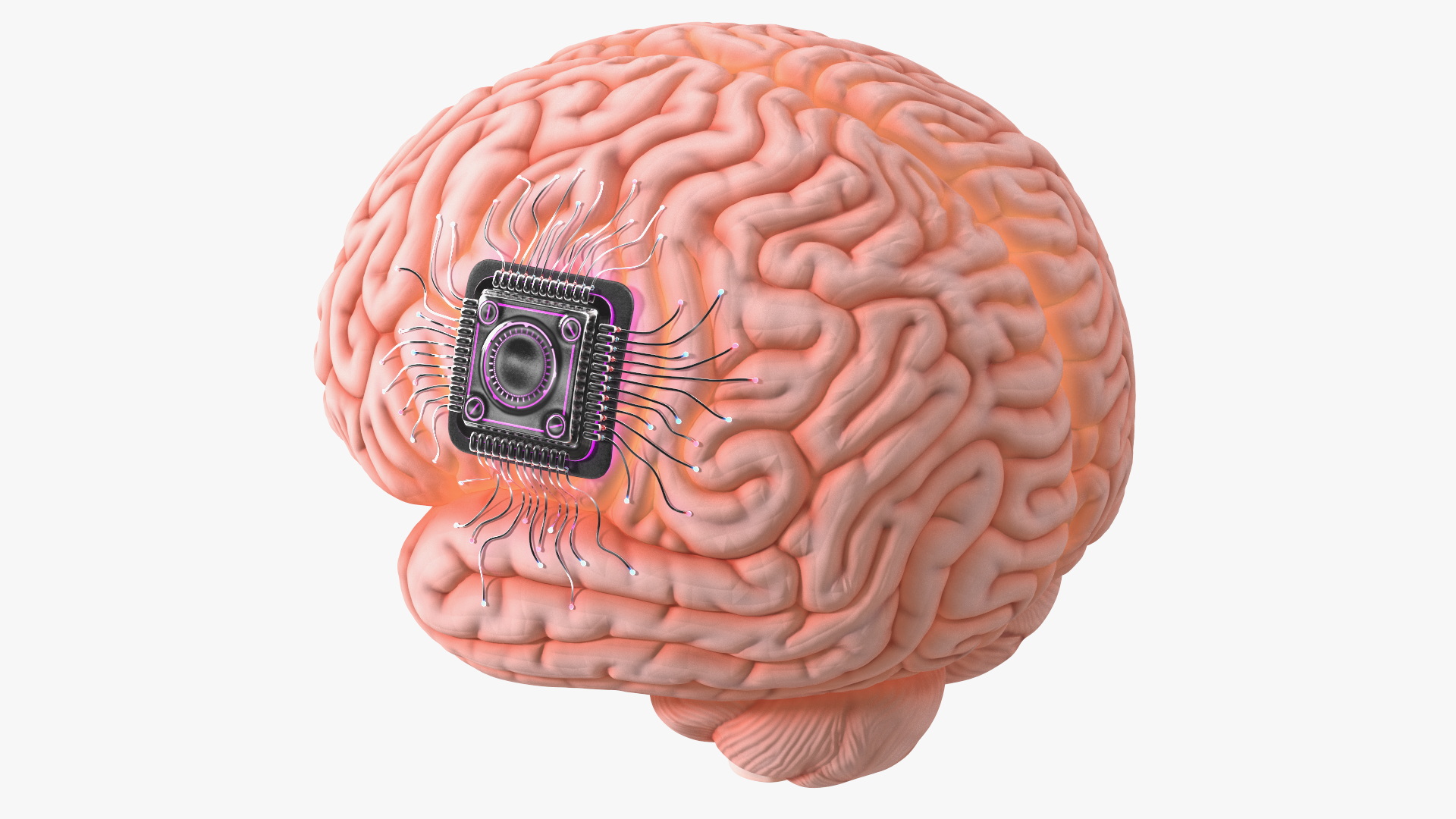 3D model Human Brain with Microchip Implant with Light