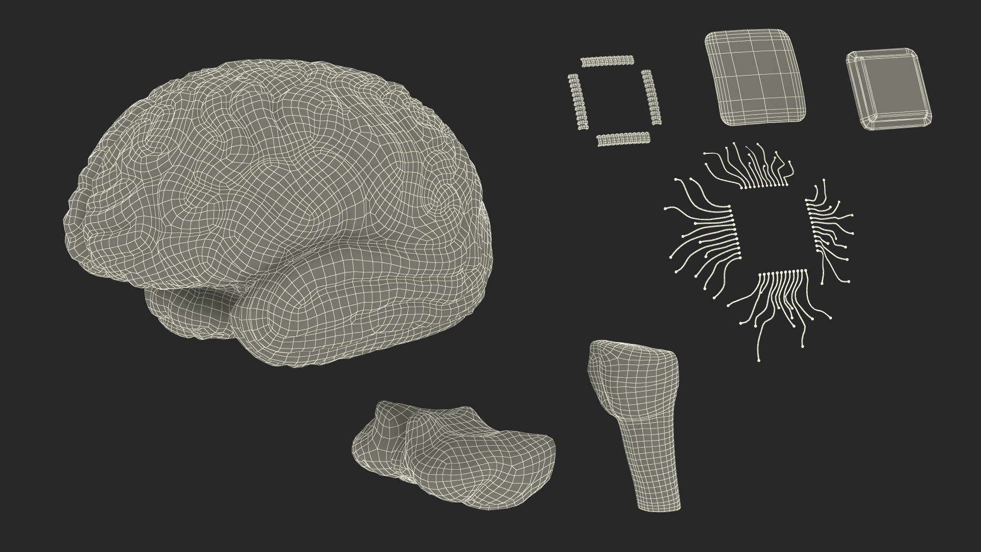 3D model Human Brain with Microchip Implant with Light