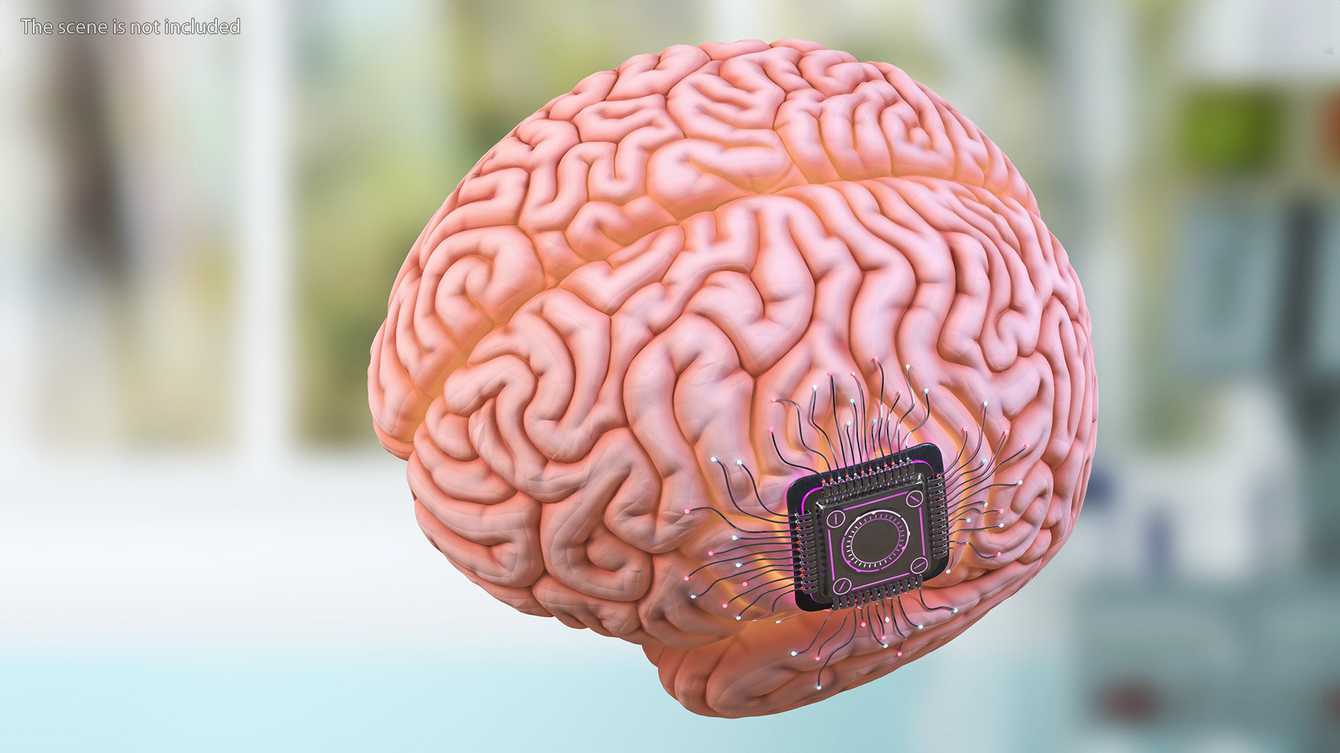 3D model Human Brain with Microchip Implant with Light