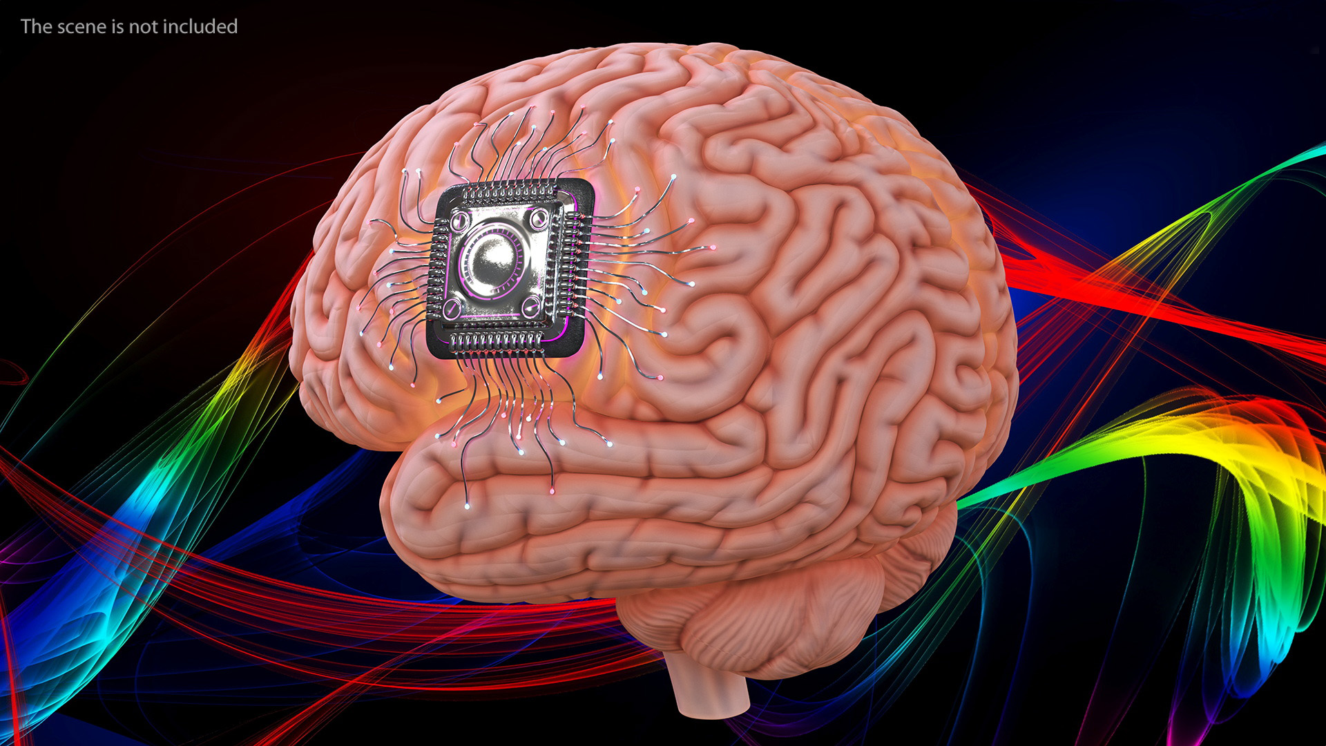 3D model Human Brain with Microchip Implant with Light