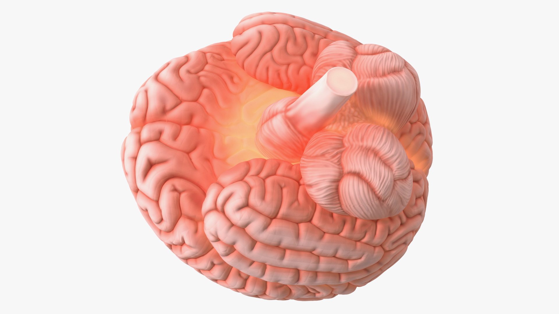 3D model Human Brain with Microchip Implant with Light
