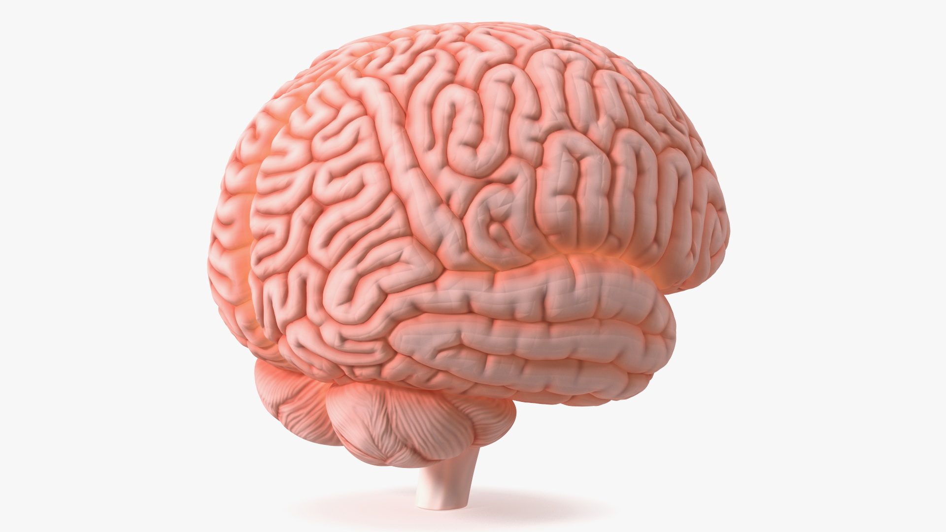 3D model Human Brain with Microchip Implant with Light