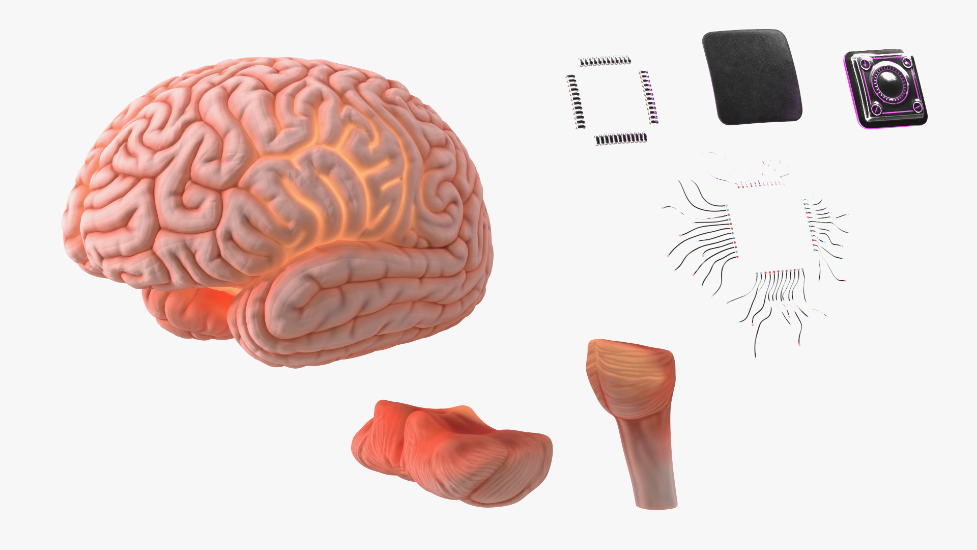 3D model Human Brain with Microchip Implant with Light