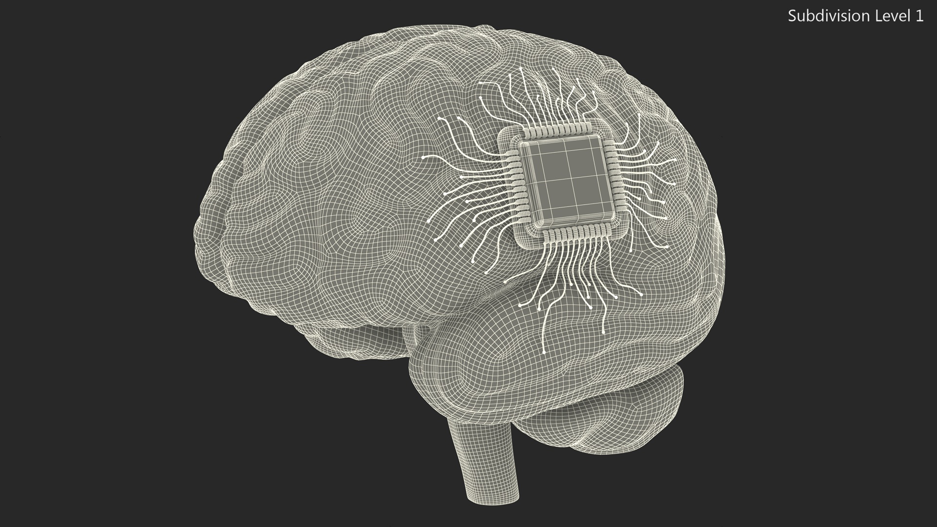 3D model Human Brain with Microchip Implant with Light