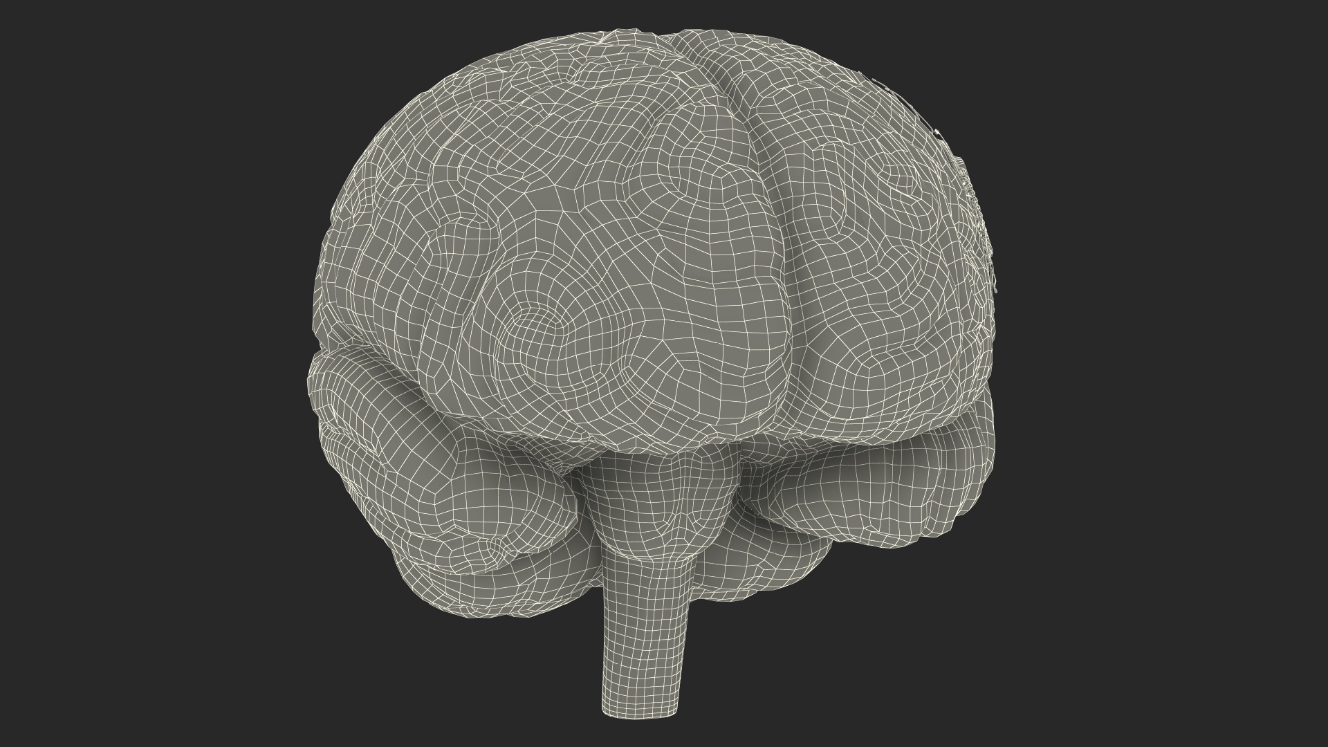 3D model Human Brain with Microchip Implant with Light