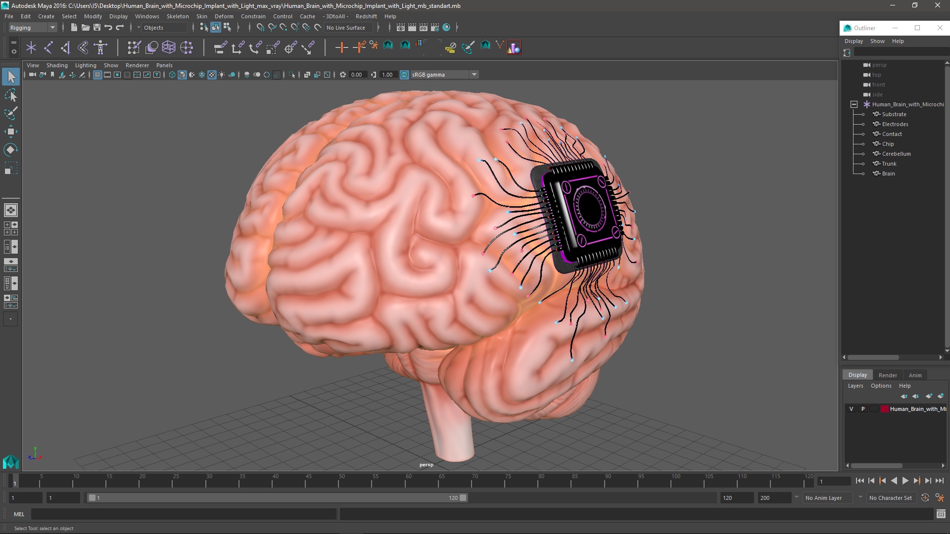 3D model Human Brain with Microchip Implant with Light