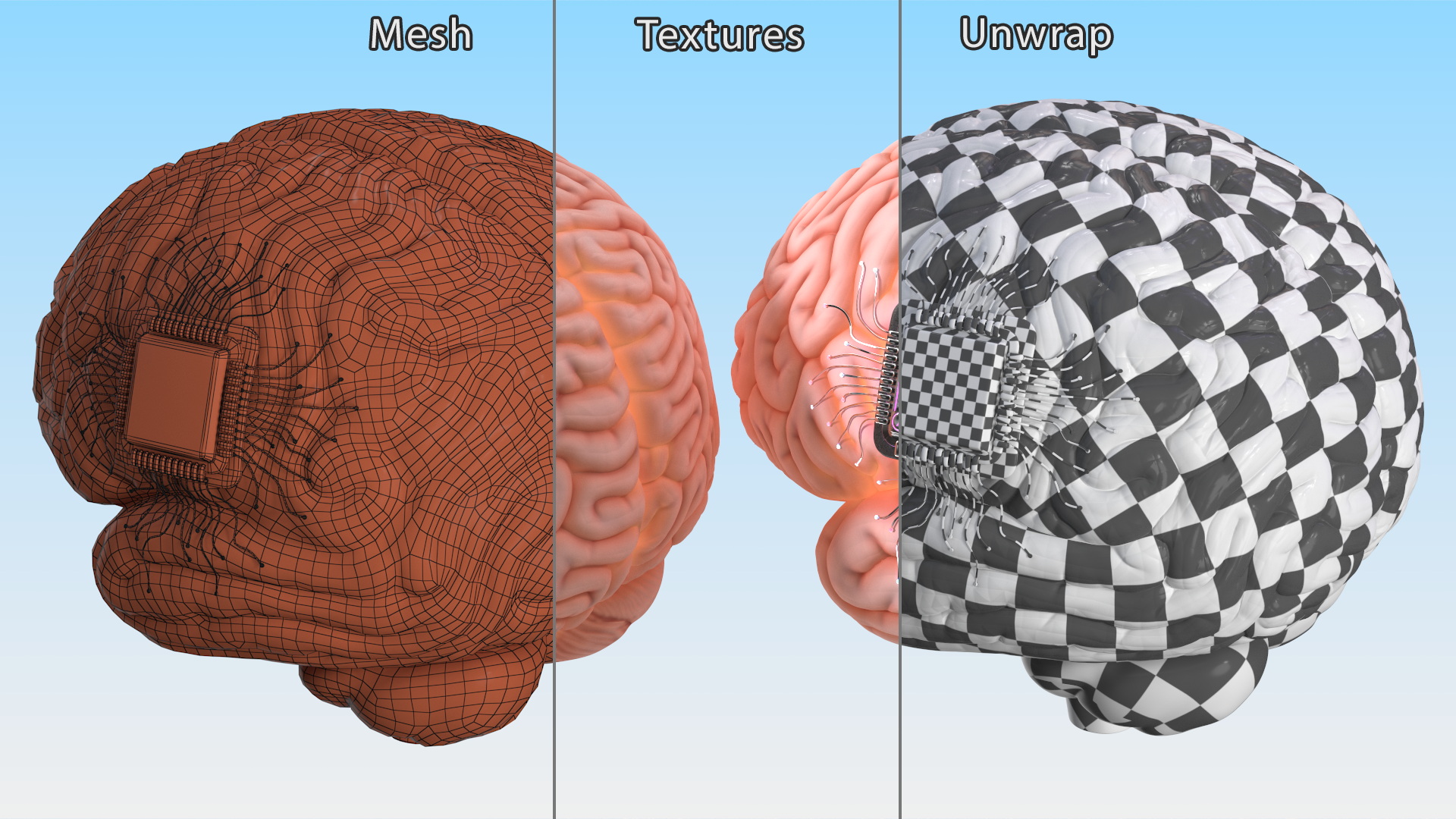 3D model Human Brain with Microchip Implant with Light