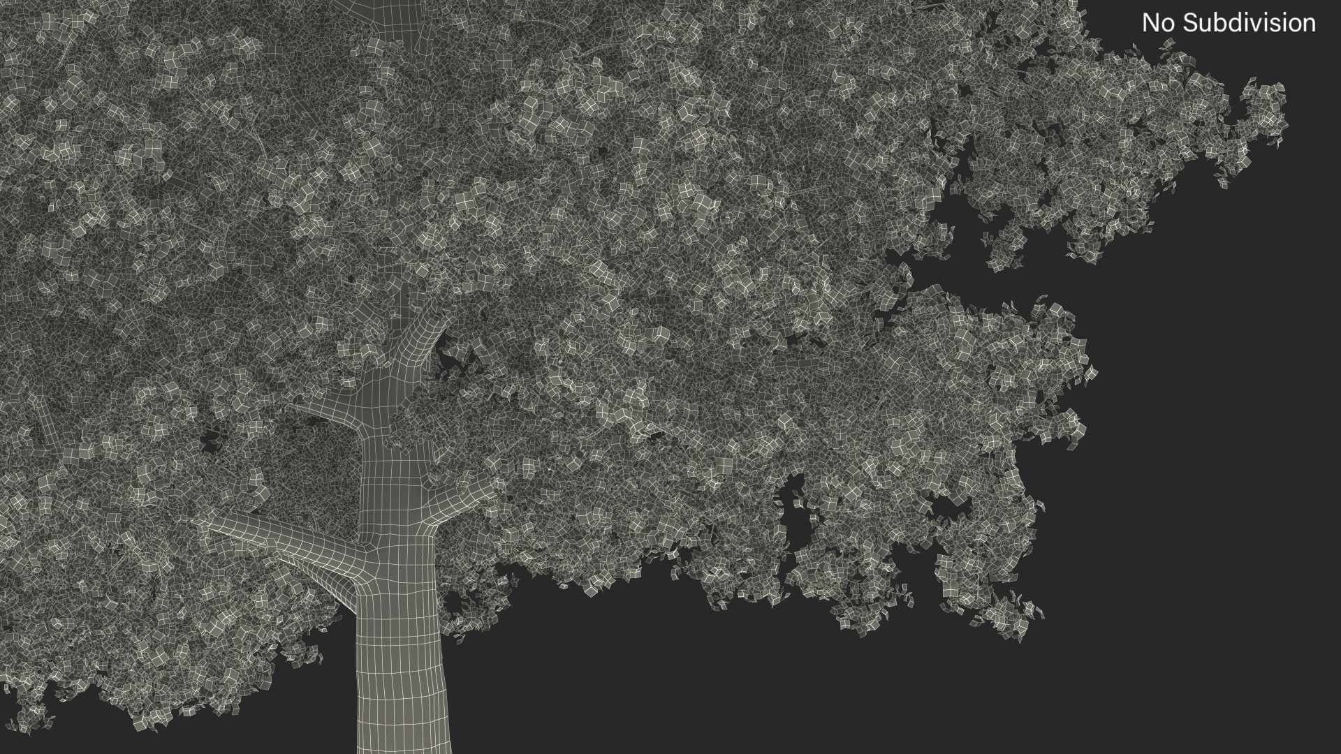 3D Autumn Poplar Tree model