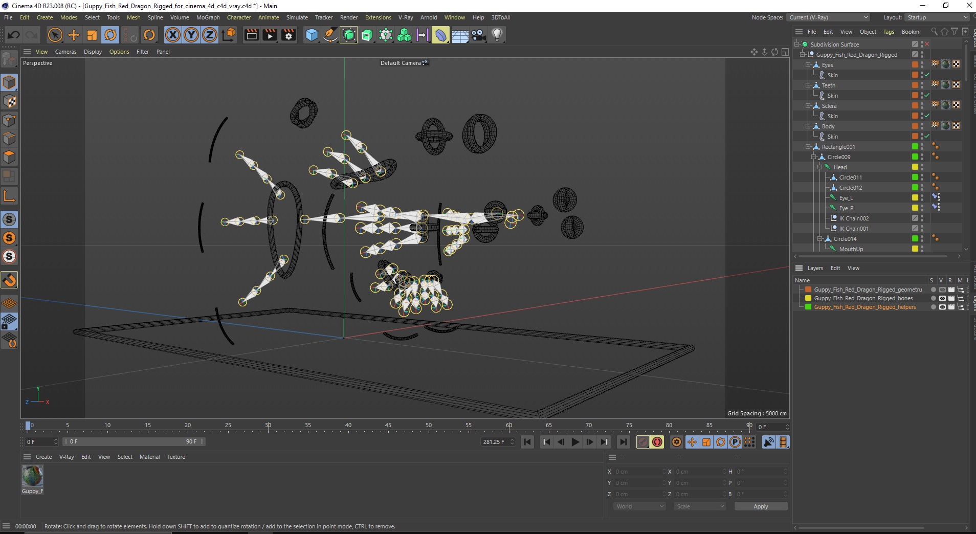 Guppy Fish Red Dragon Rigged for Cinema 4D 3D