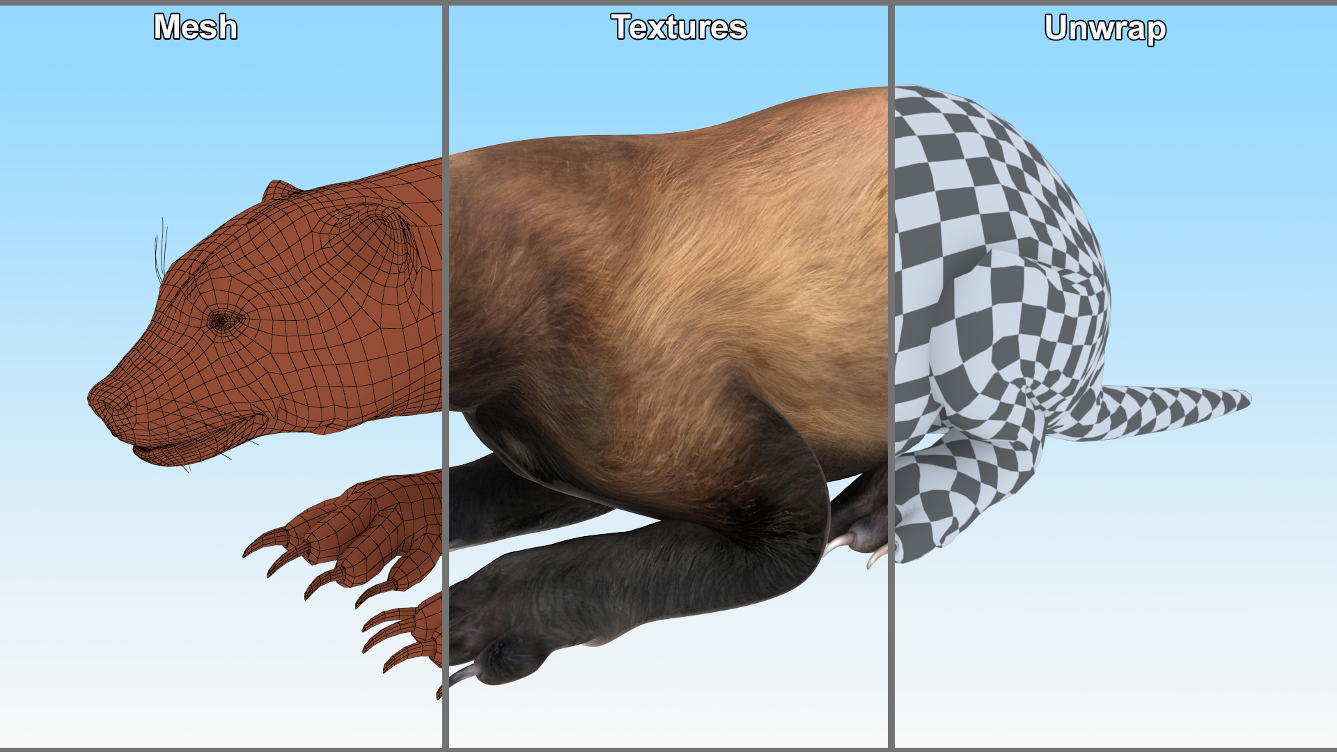 3D Wolverine Dark Color Lying Down Pose