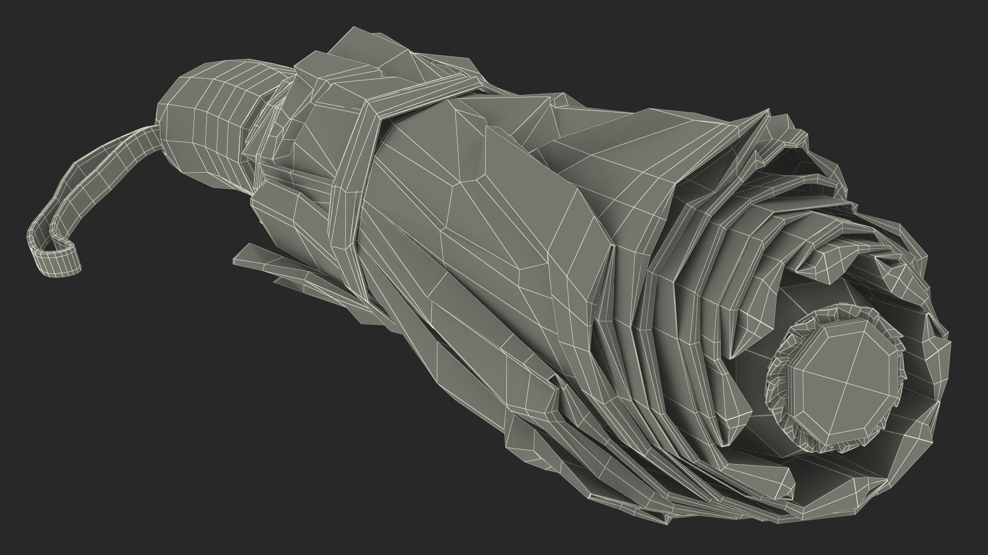 3D Compact Folded Umbrella model
