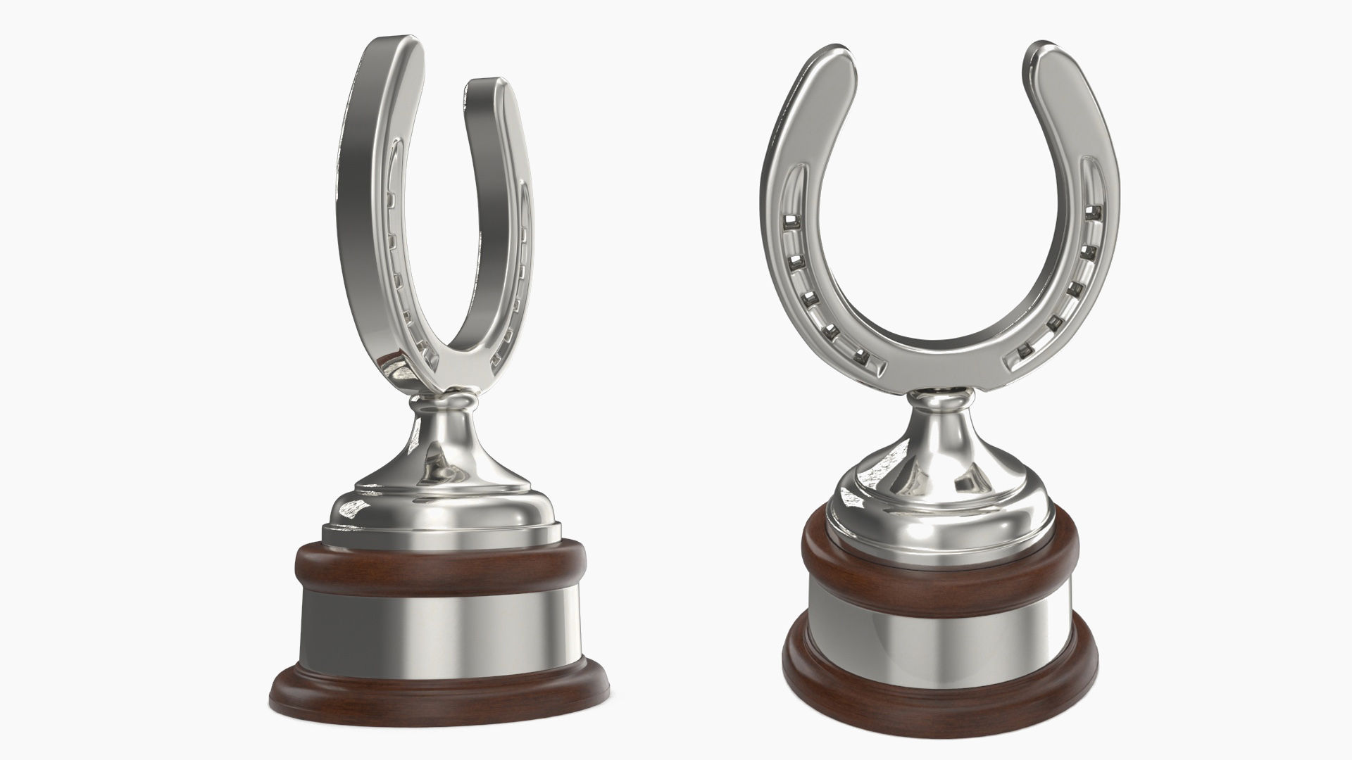Silver Horseshoe Award 3D
