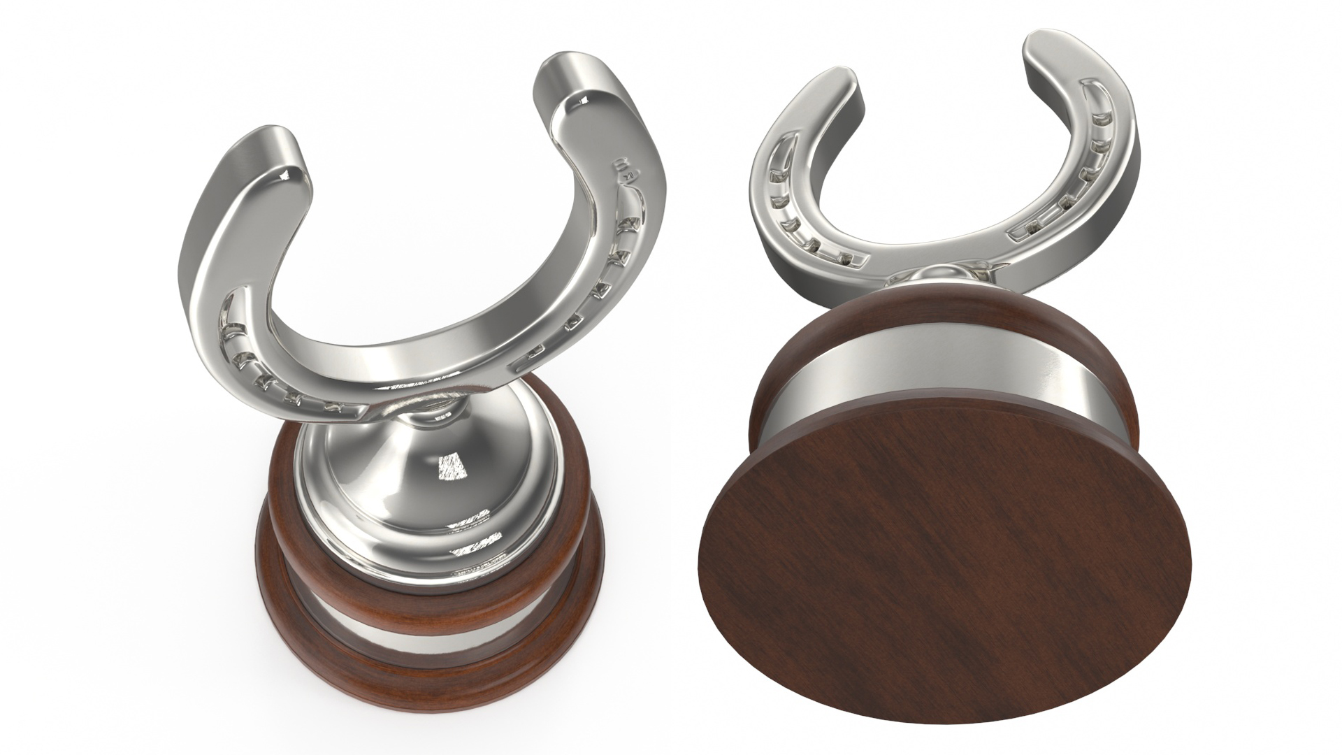 Silver Horseshoe Award 3D