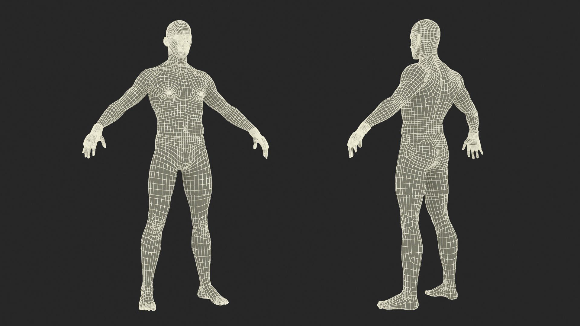 3D UFC MMA Fighter Character A-Pose Fur