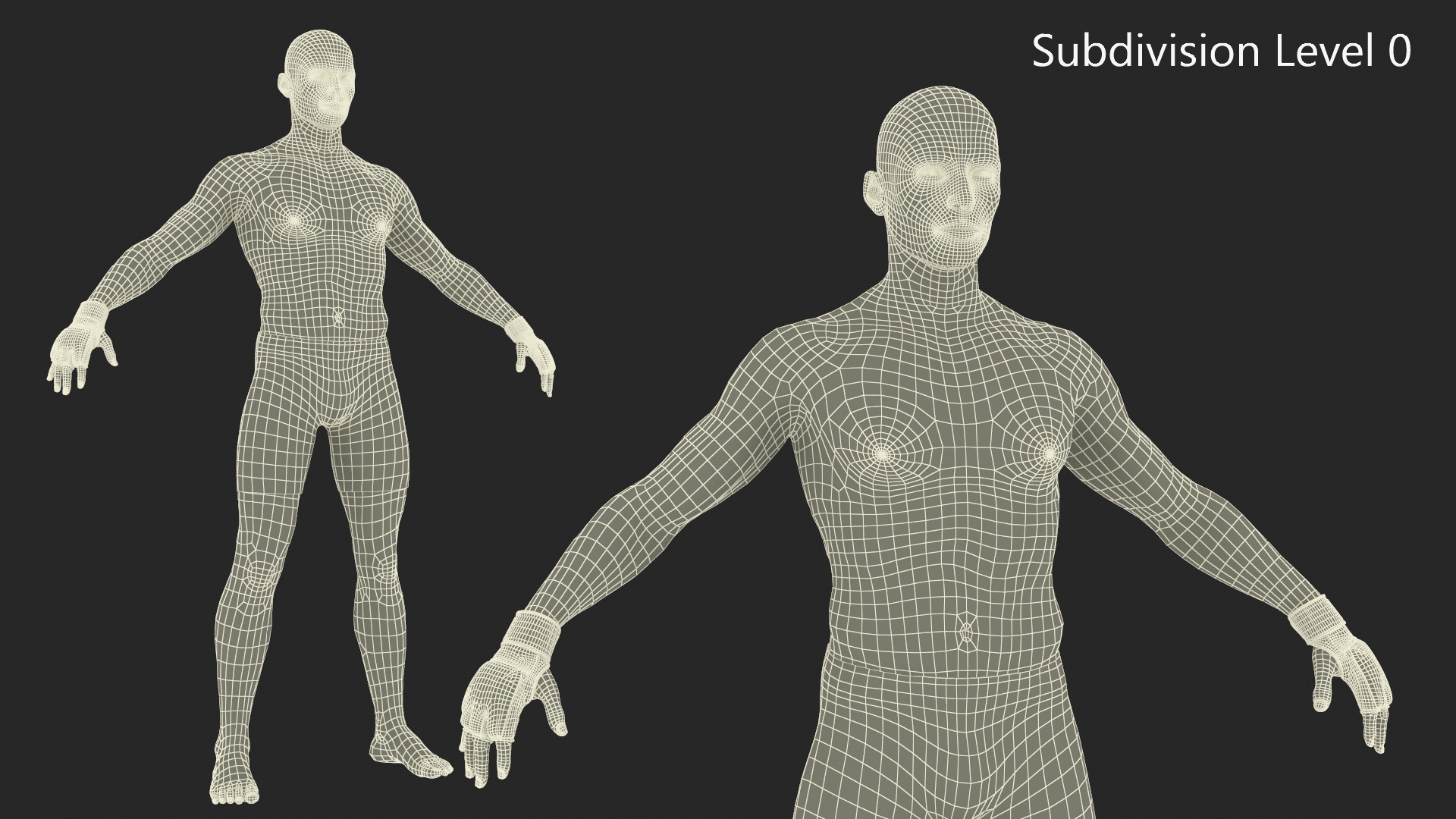 3D UFC MMA Fighter Character A-Pose Fur