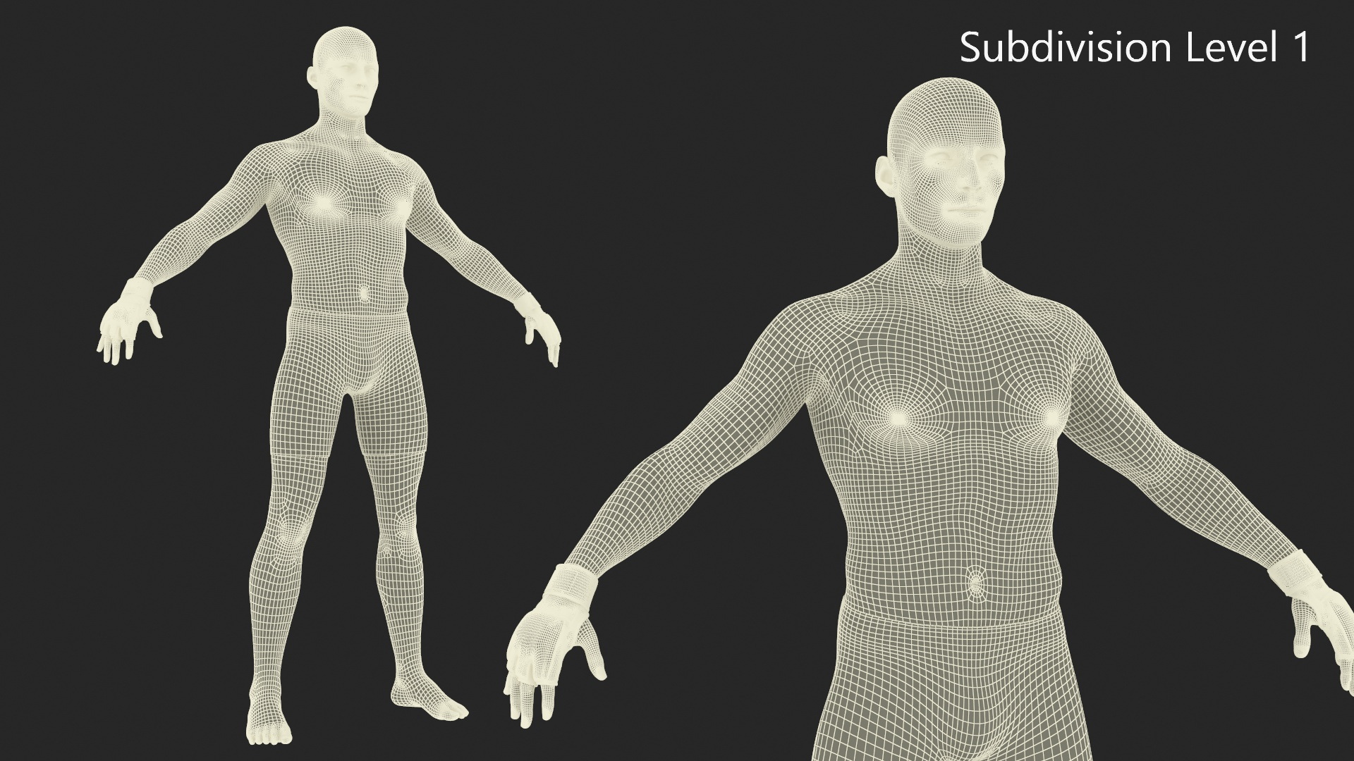 3D UFC MMA Fighter Character A-Pose Fur