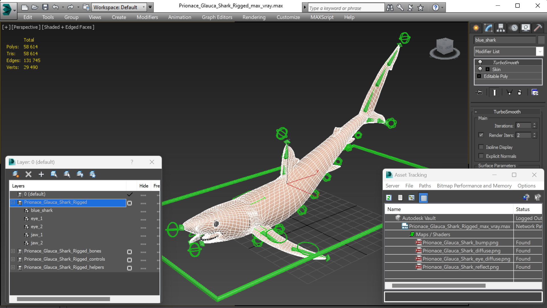 3D Prionace Glauca Shark Rigged model