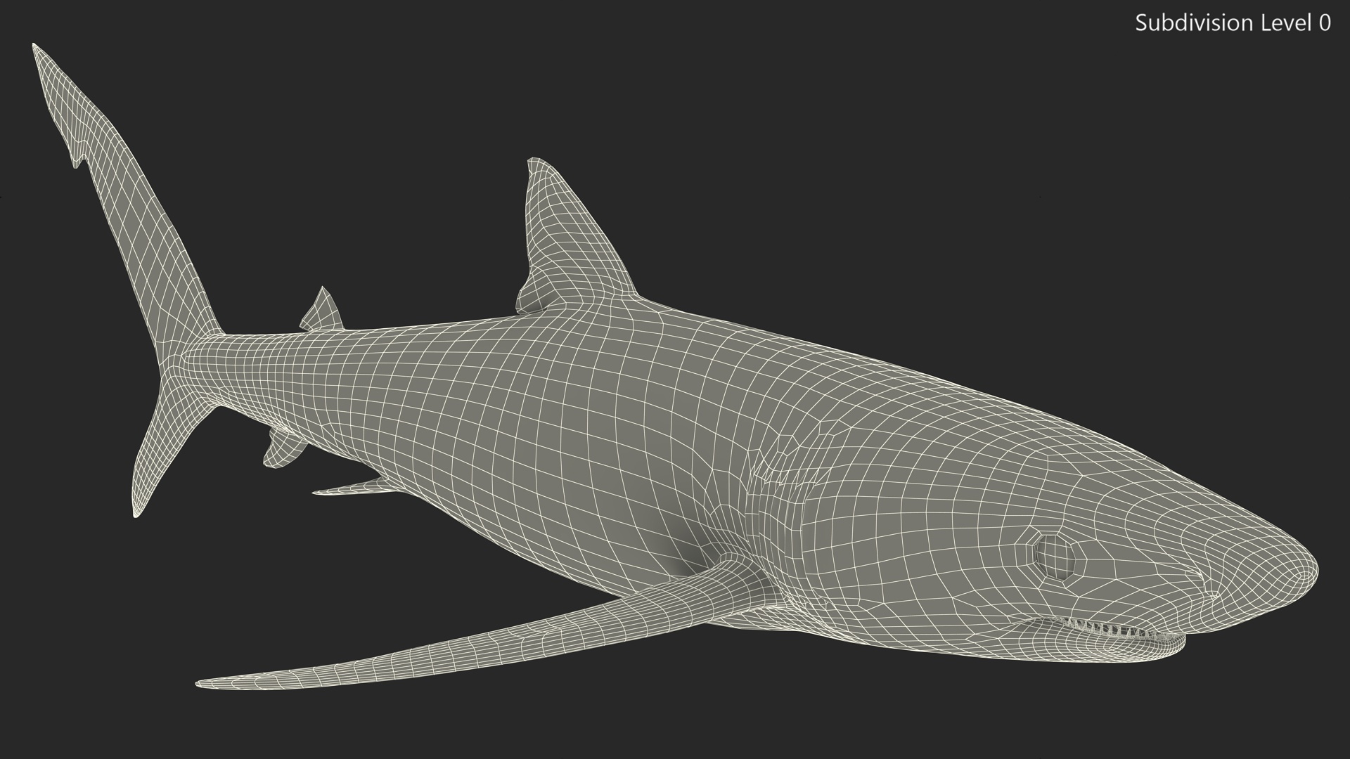3D Prionace Glauca Shark Rigged model