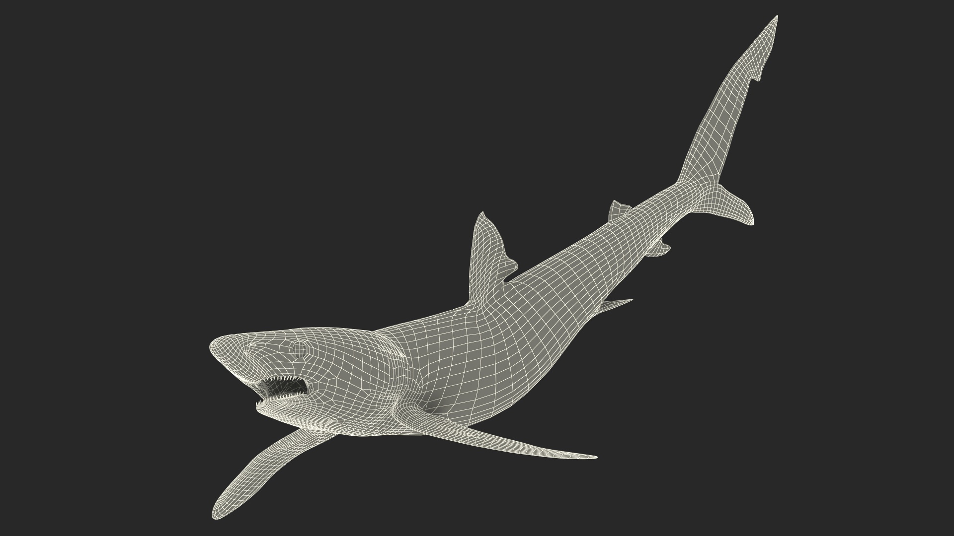 3D Prionace Glauca Shark Rigged model
