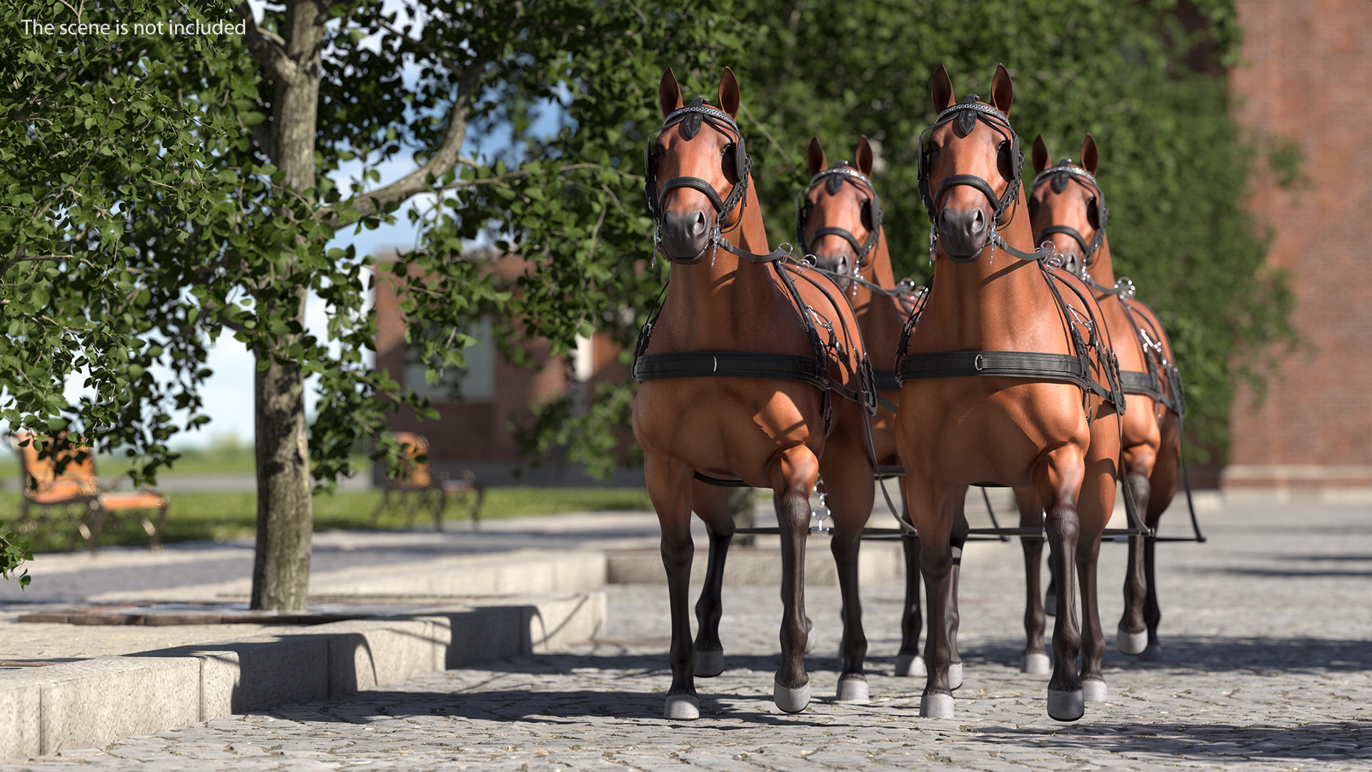 Team of Four Breast Collar Harness Walking Pose 3D