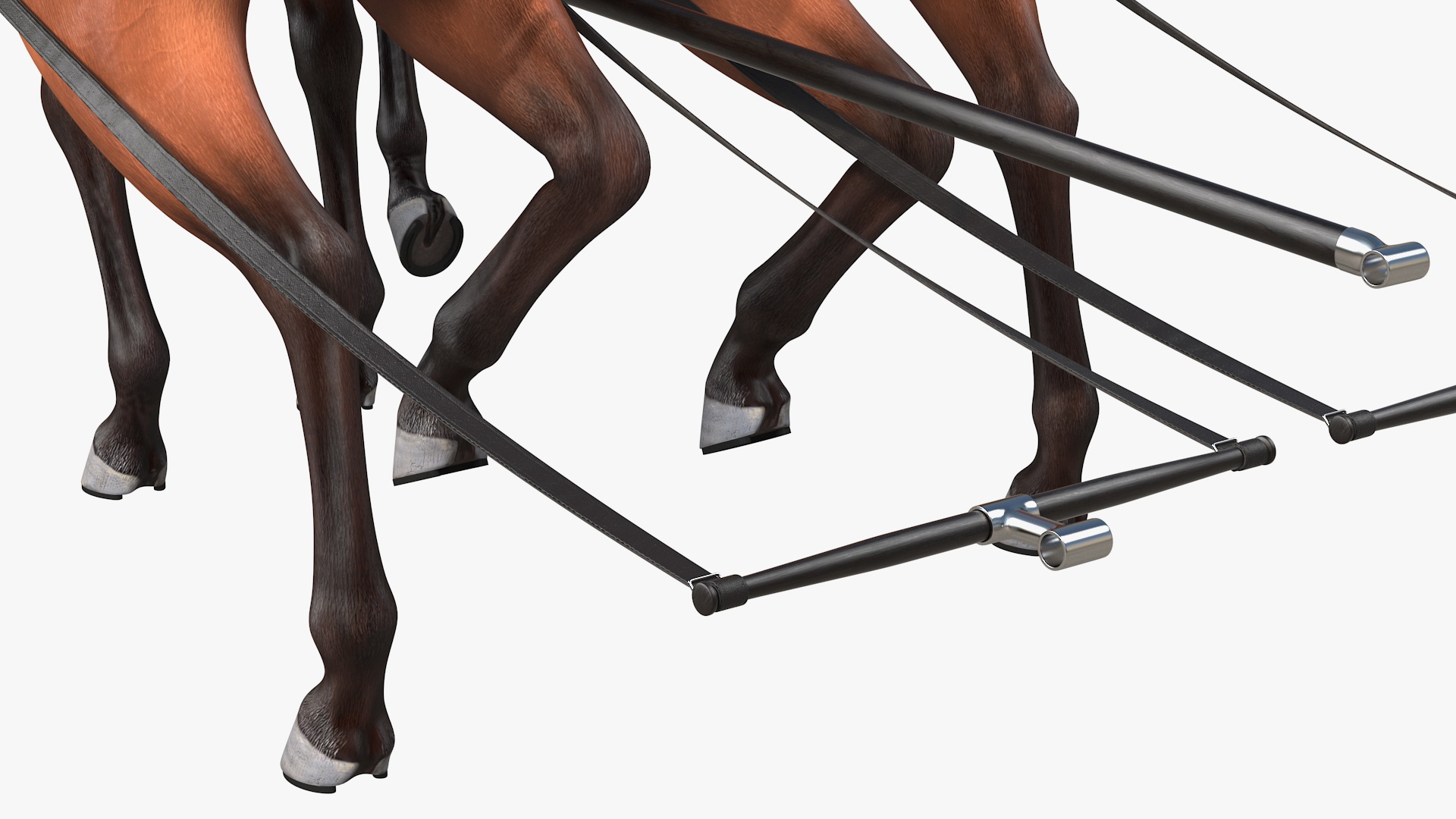 Team of Four Breast Collar Harness Walking Pose 3D