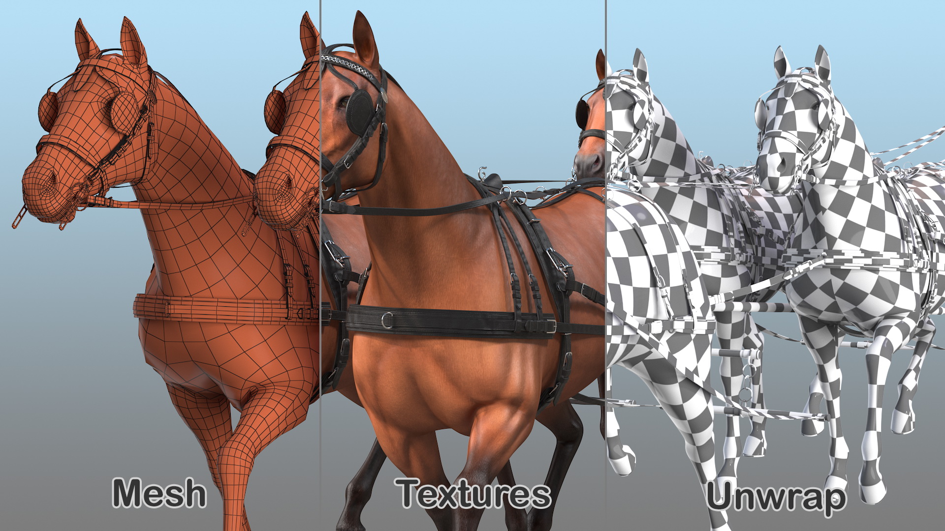 Team of Four Breast Collar Harness Walking Pose 3D