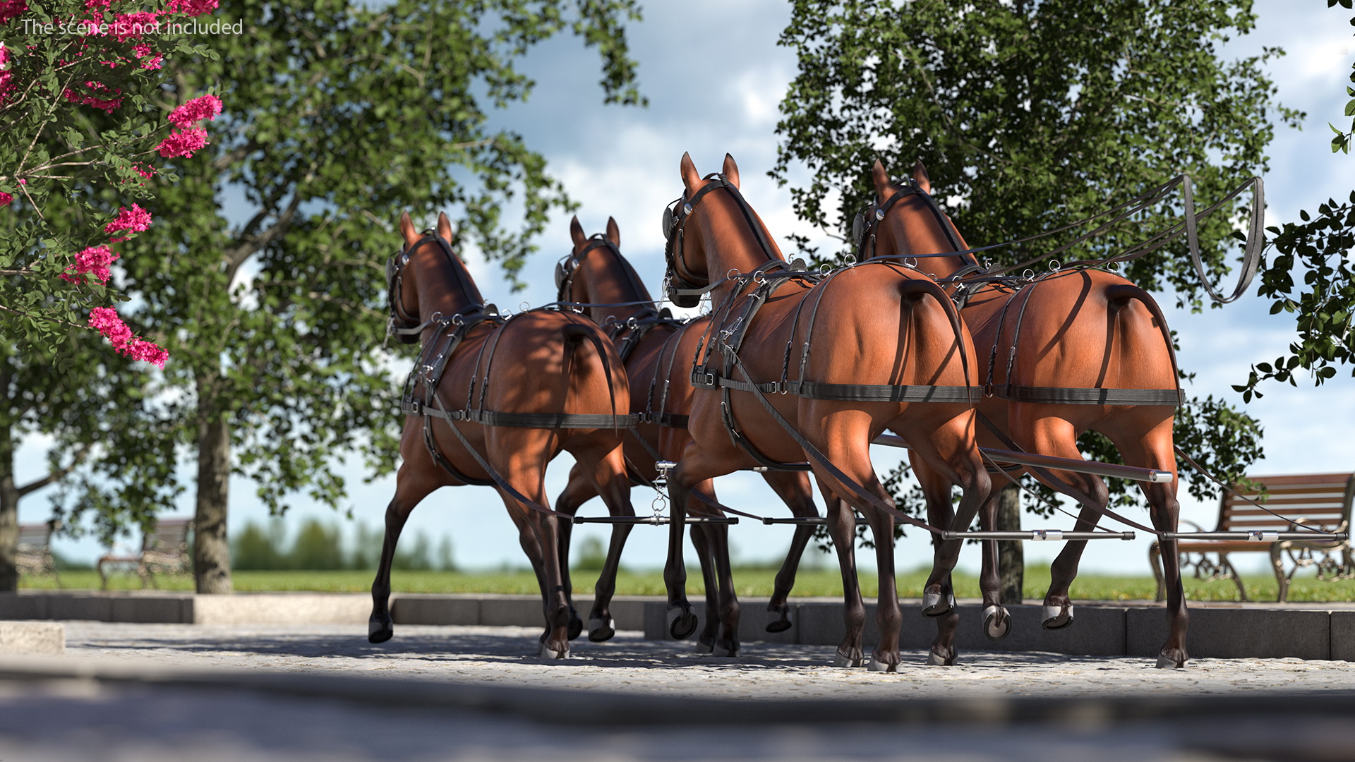 Team of Four Breast Collar Harness Walking Pose 3D