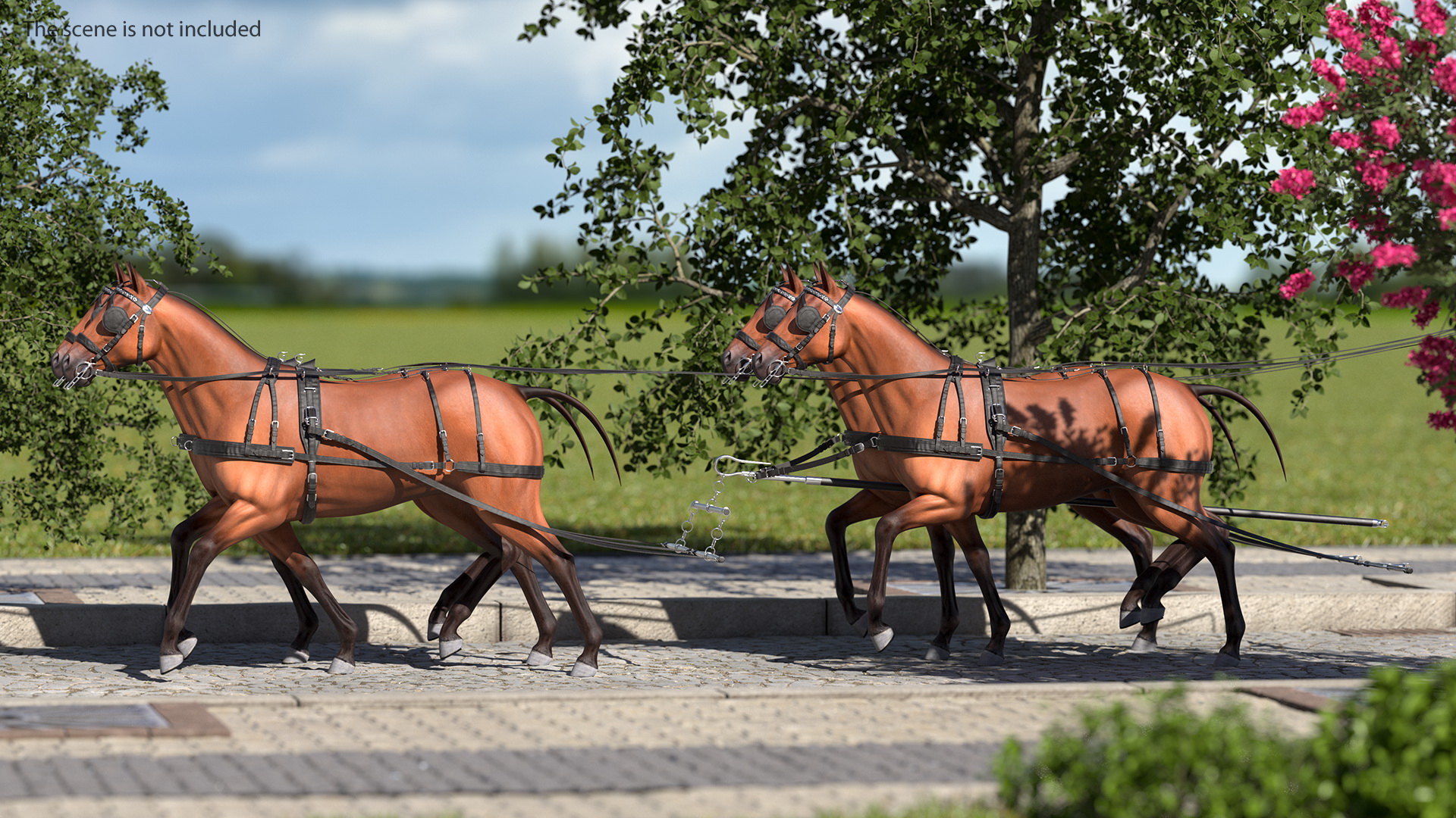 Team of Four Breast Collar Harness Walking Pose 3D