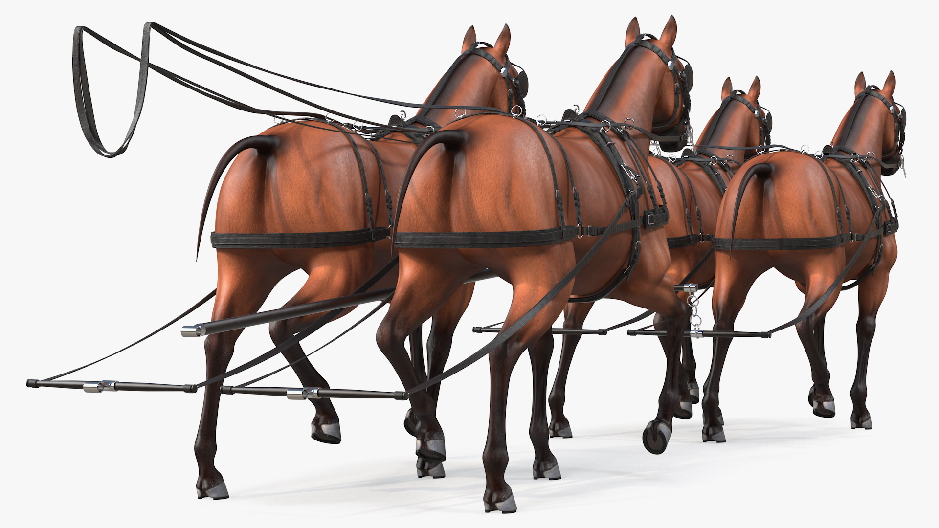 Team of Four Breast Collar Harness Walking Pose 3D