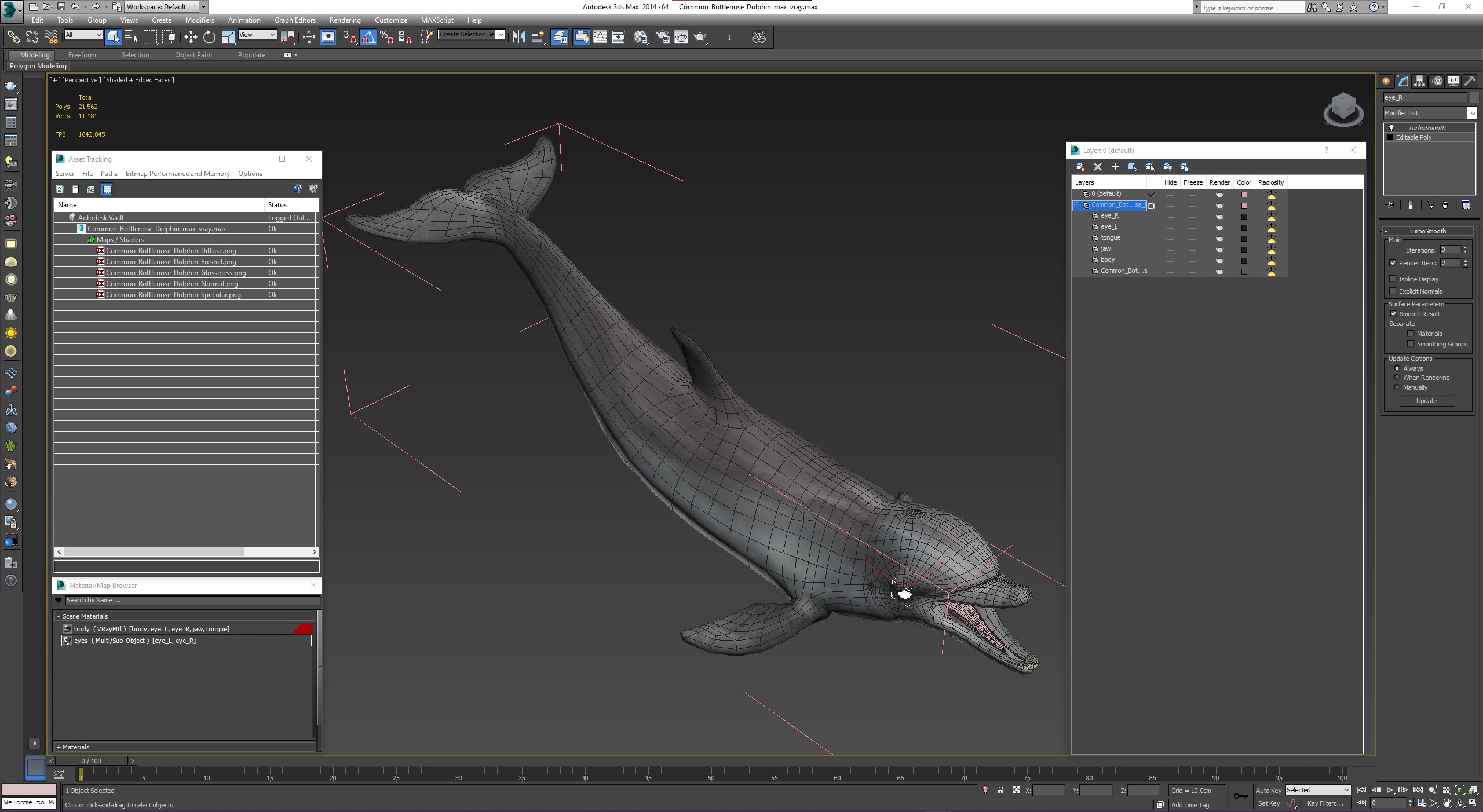 3D model Common Bottlenose Dolphin
