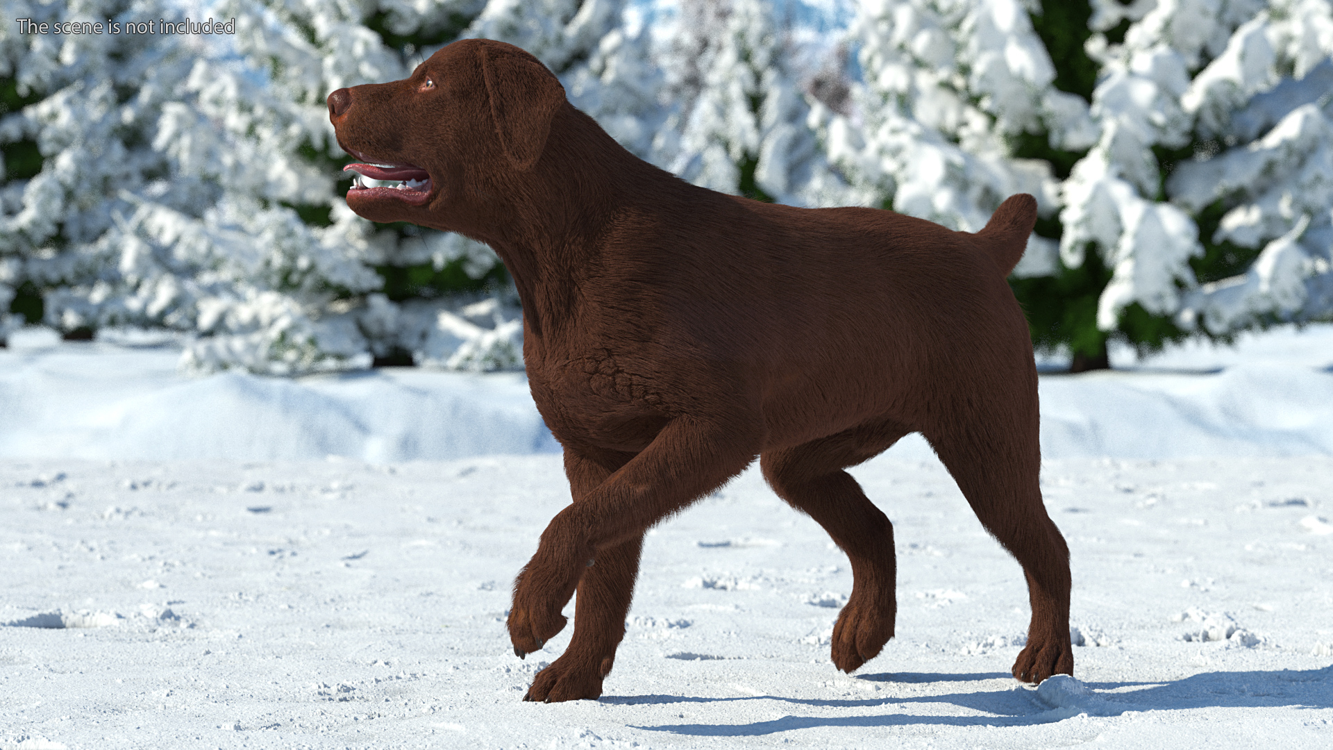 3D model Labrador Dog Brown Walking Fur