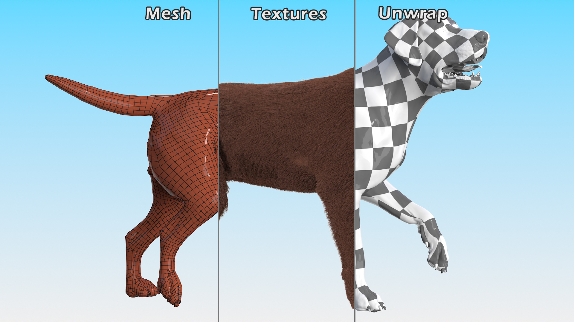 3D model Labrador Dog Brown Walking Fur