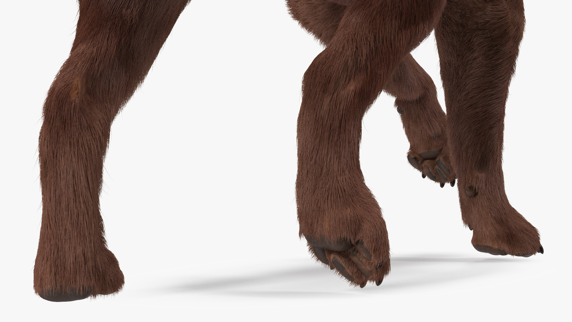 3D model Labrador Dog Brown Walking Fur