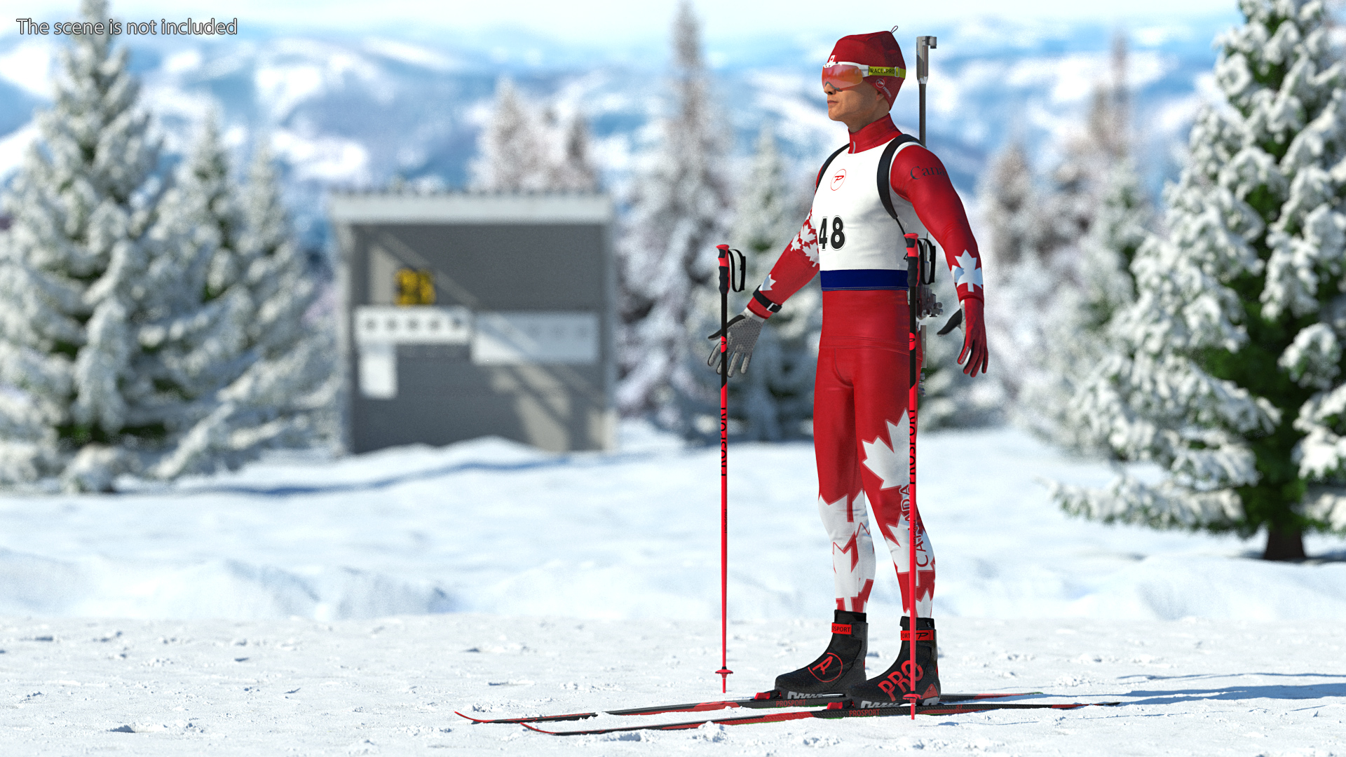 Biathlon Equipment Team Canada Set 3D model