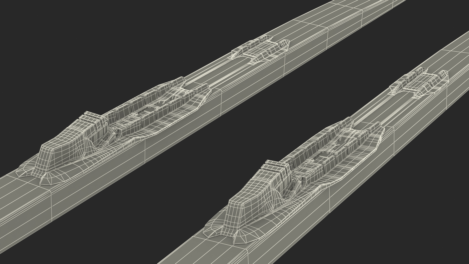 Biathlon Equipment Team Canada Set 3D model