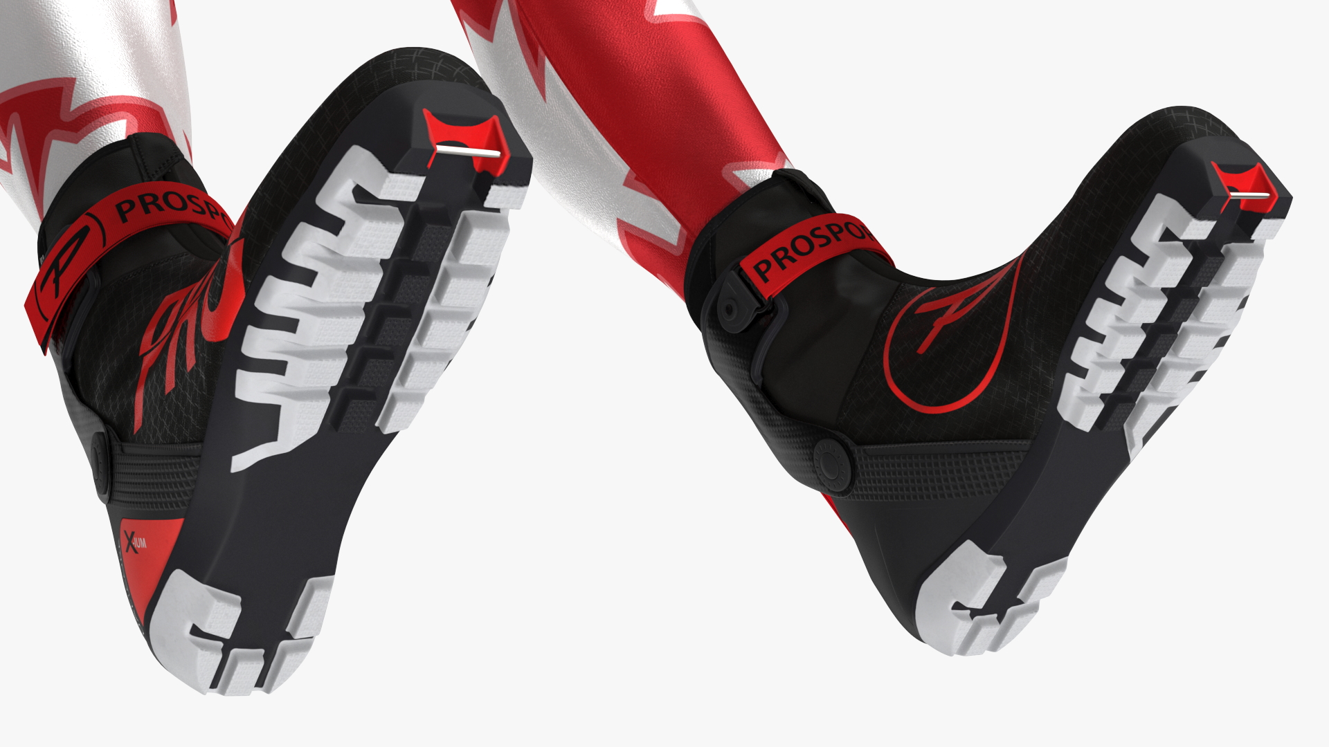 Biathlon Equipment Team Canada Set 3D model