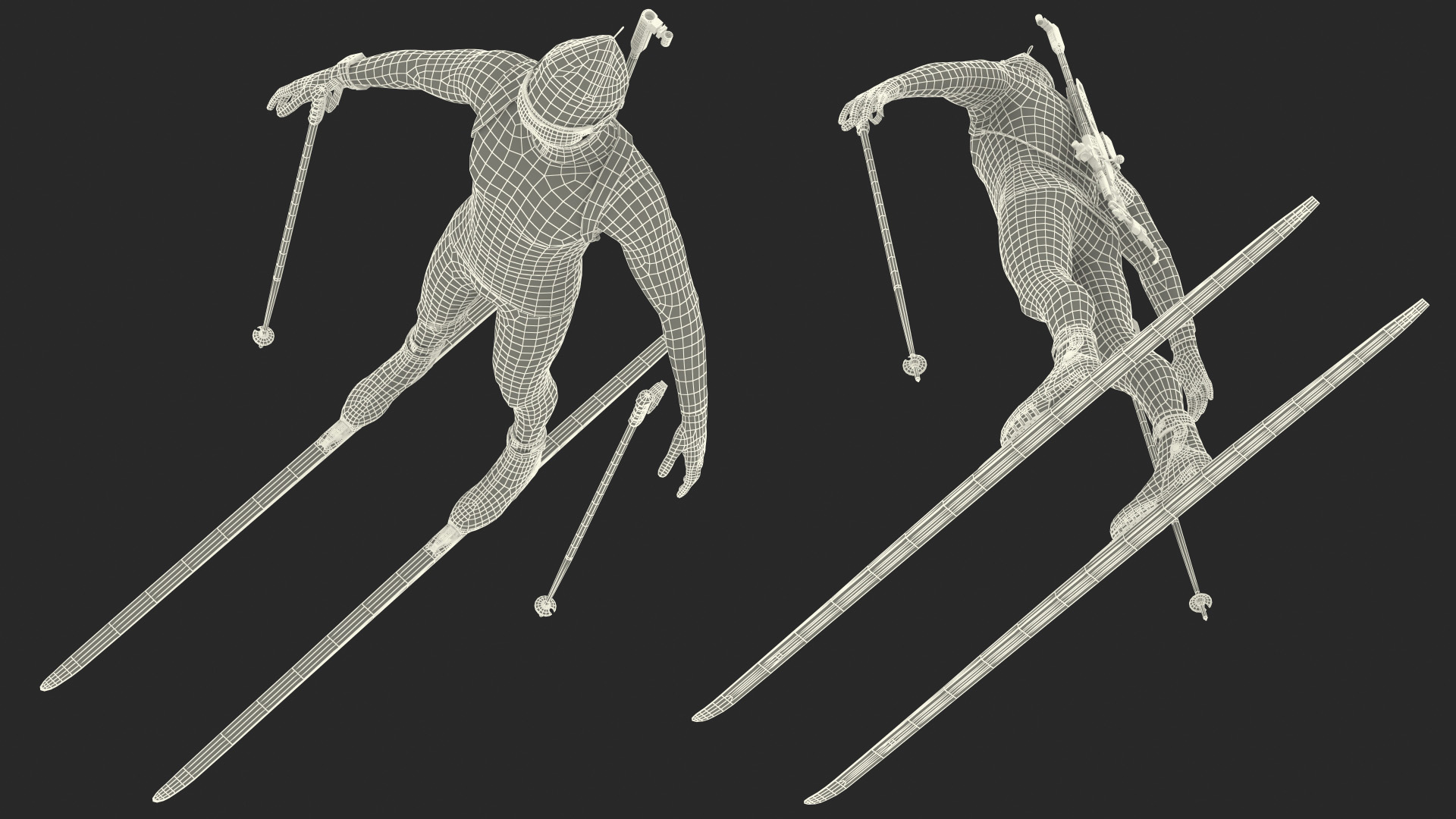 Biathlon Equipment Team Canada Set 3D model